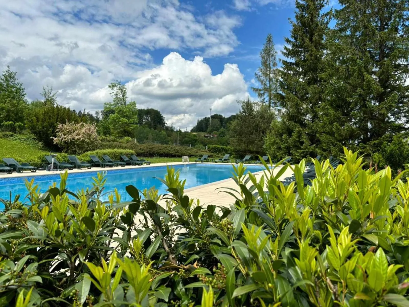 Beltine Forest Hotel