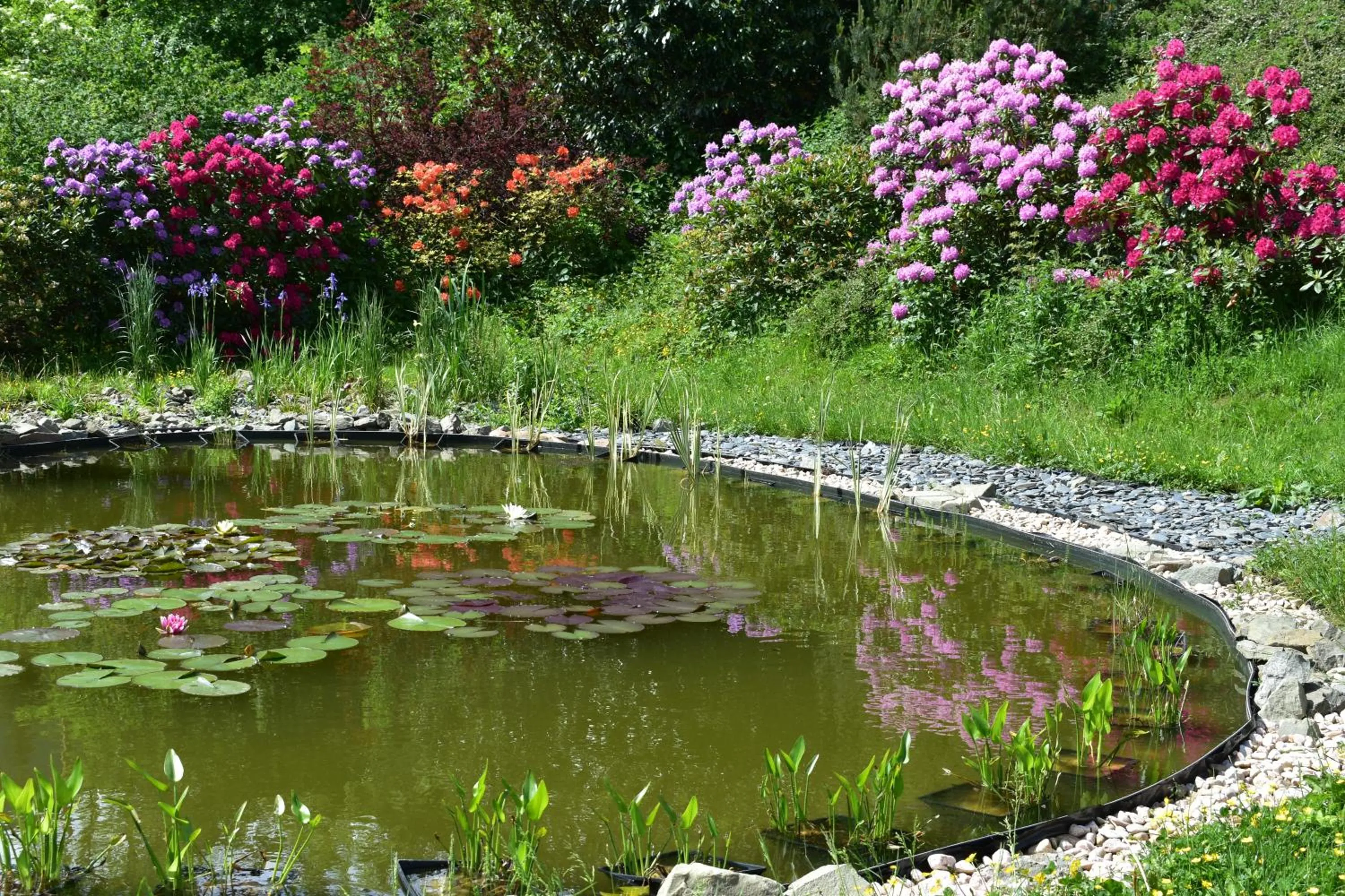 Beltine Forest Hotel