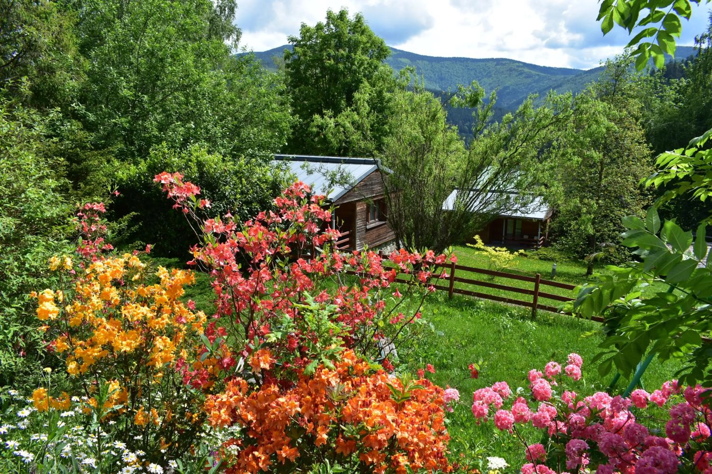 Beltine Forest Hotel