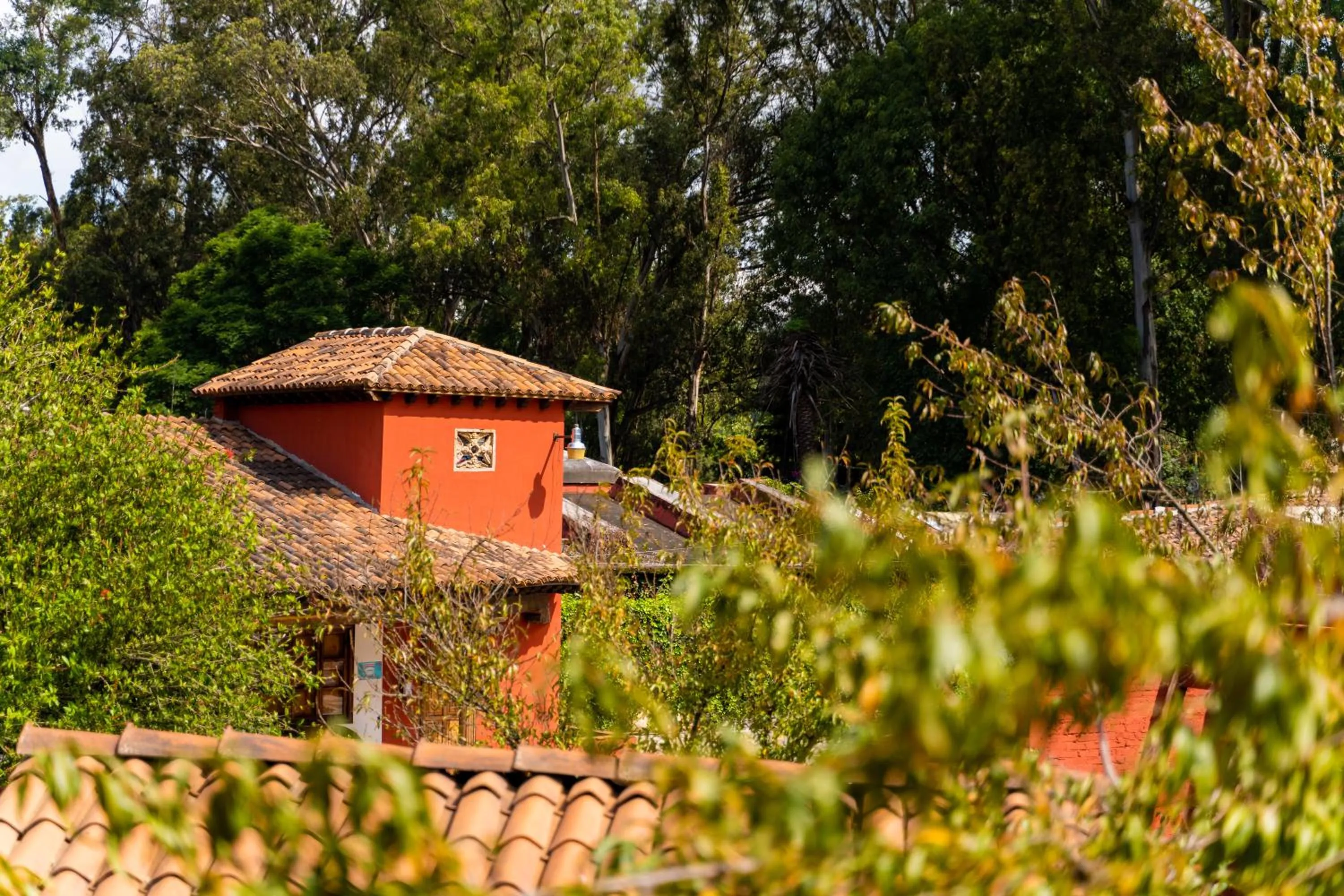 View (from property/room), Property Building in Mision Patzcuaro