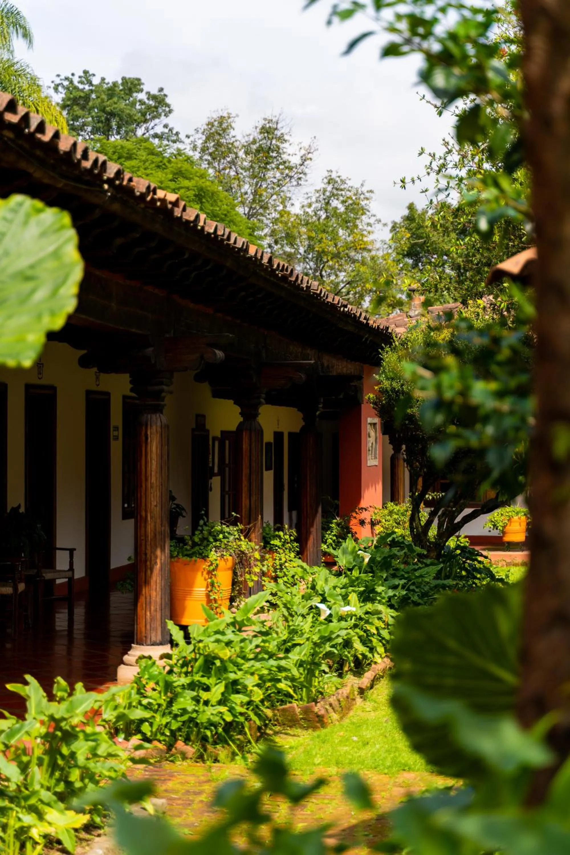 Garden, Property Building in Mision Patzcuaro