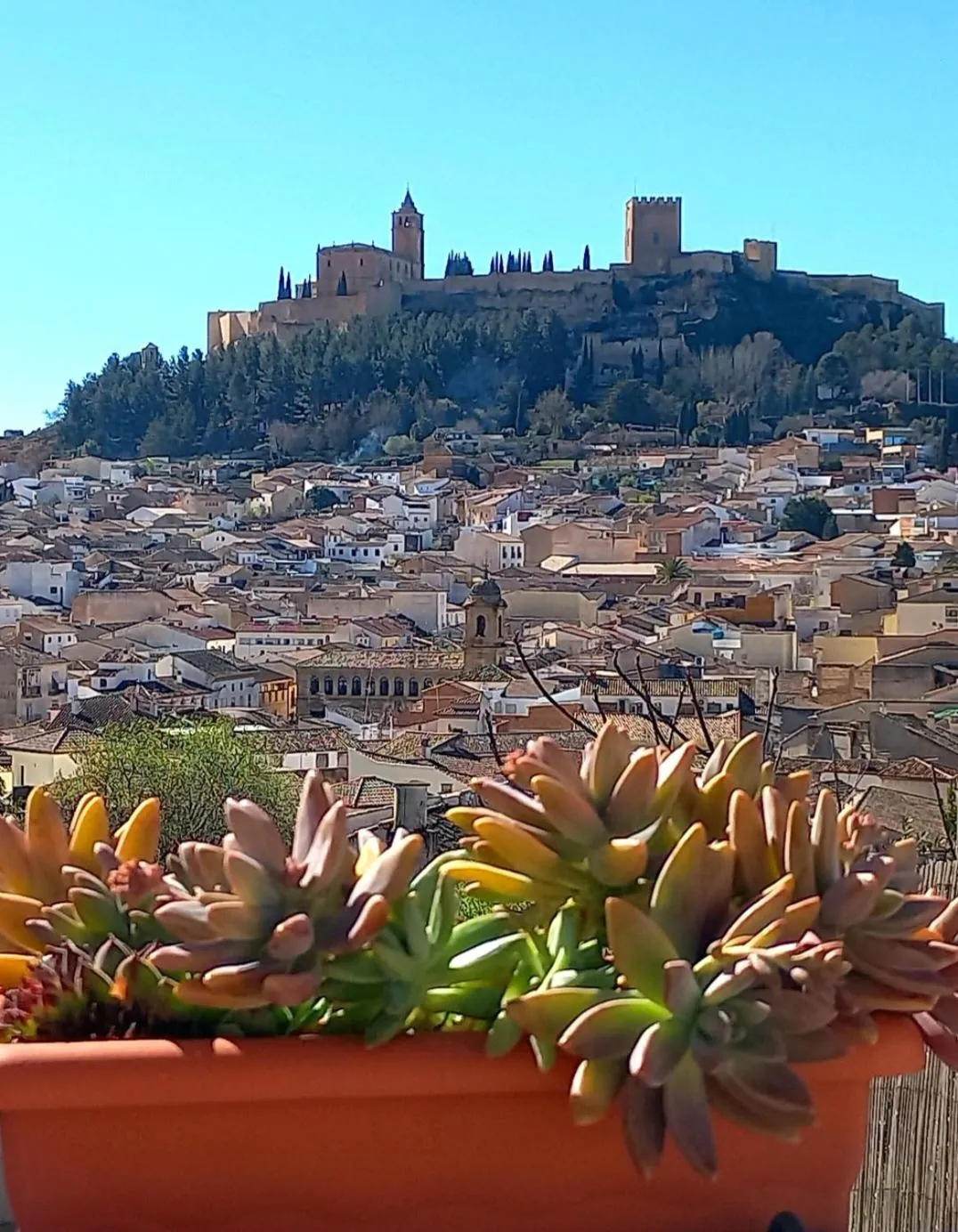 Mirador Tierra de Frontera