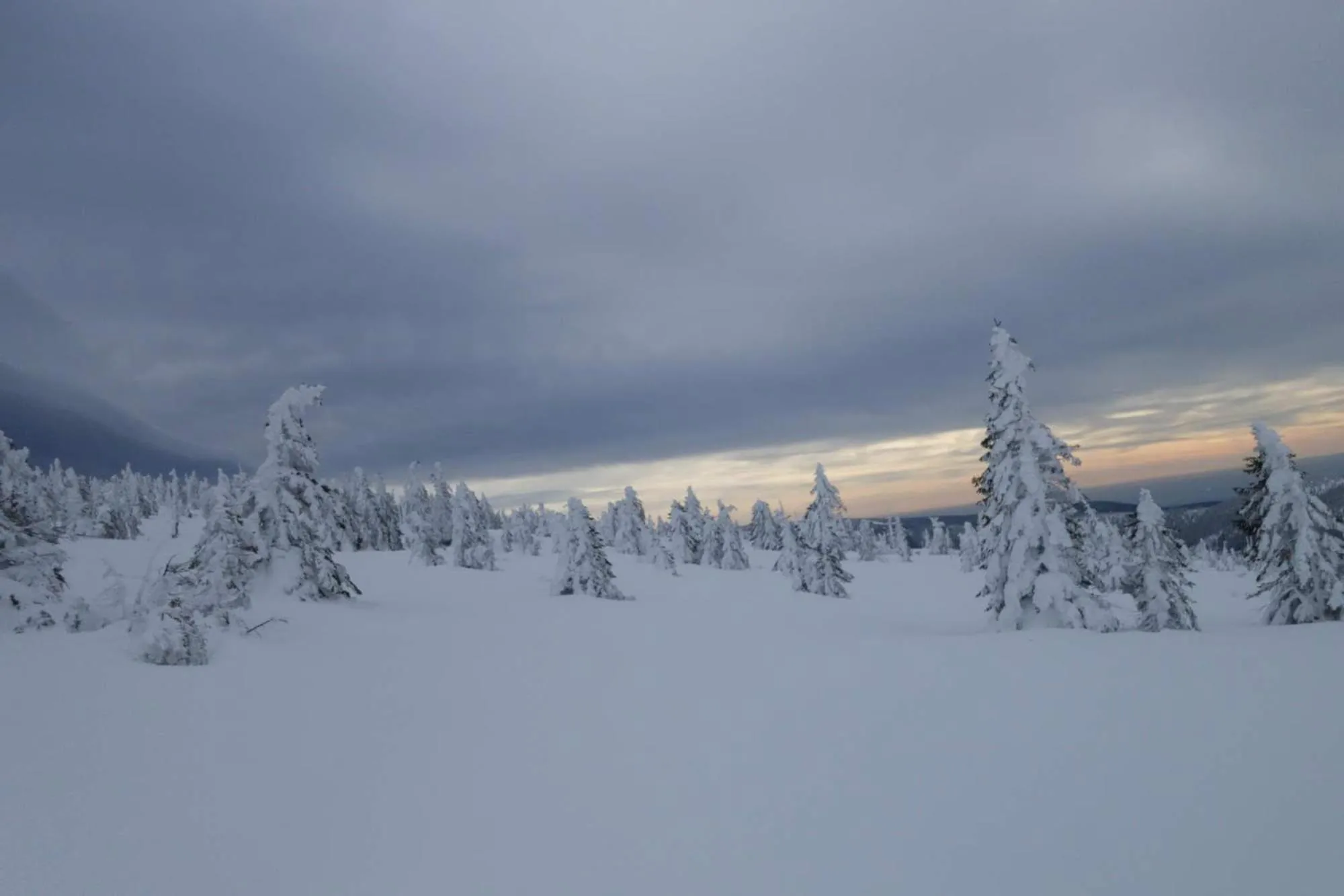 Natural landscape in Hotel Krokus