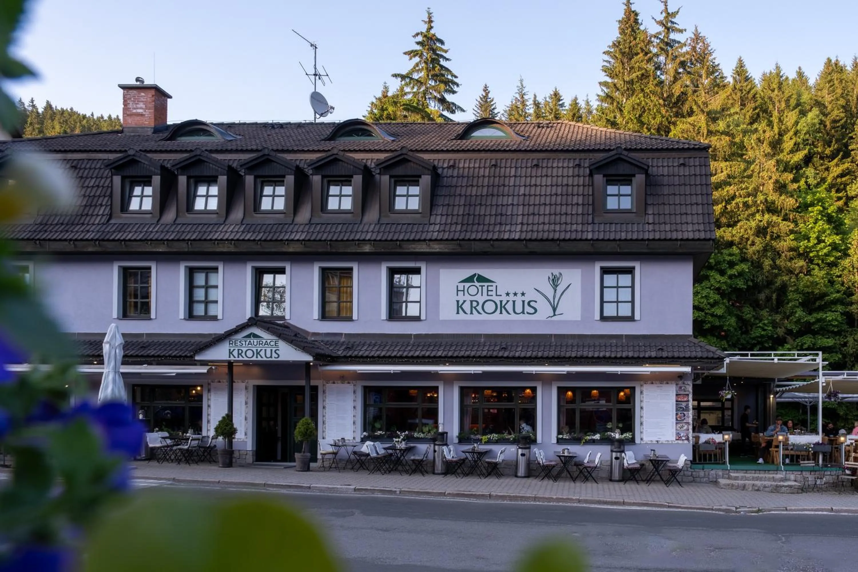 Property building in Hotel Krokus