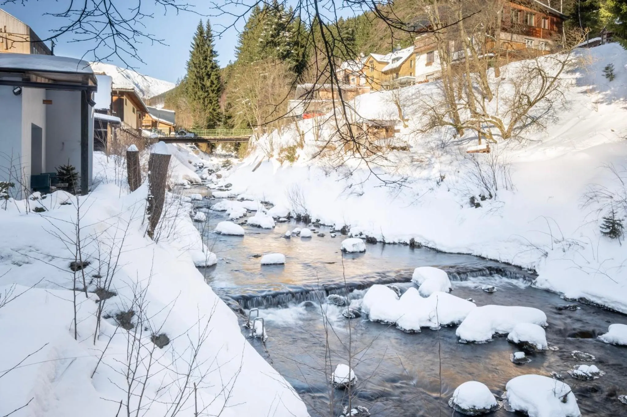 Natural landscape in Hotel Krokus