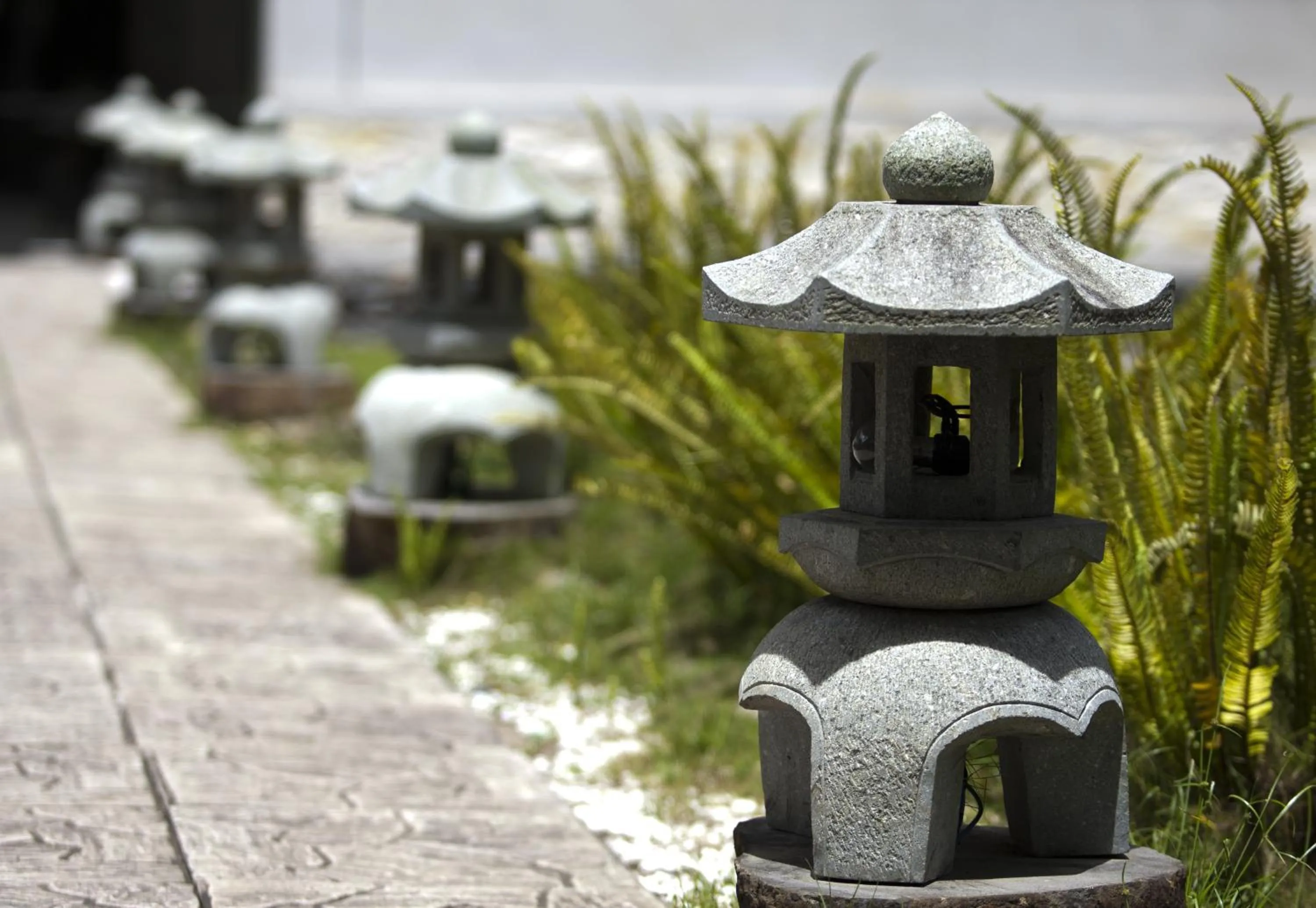 Garden in Muong Thanh Holiday Da Lat Hotel