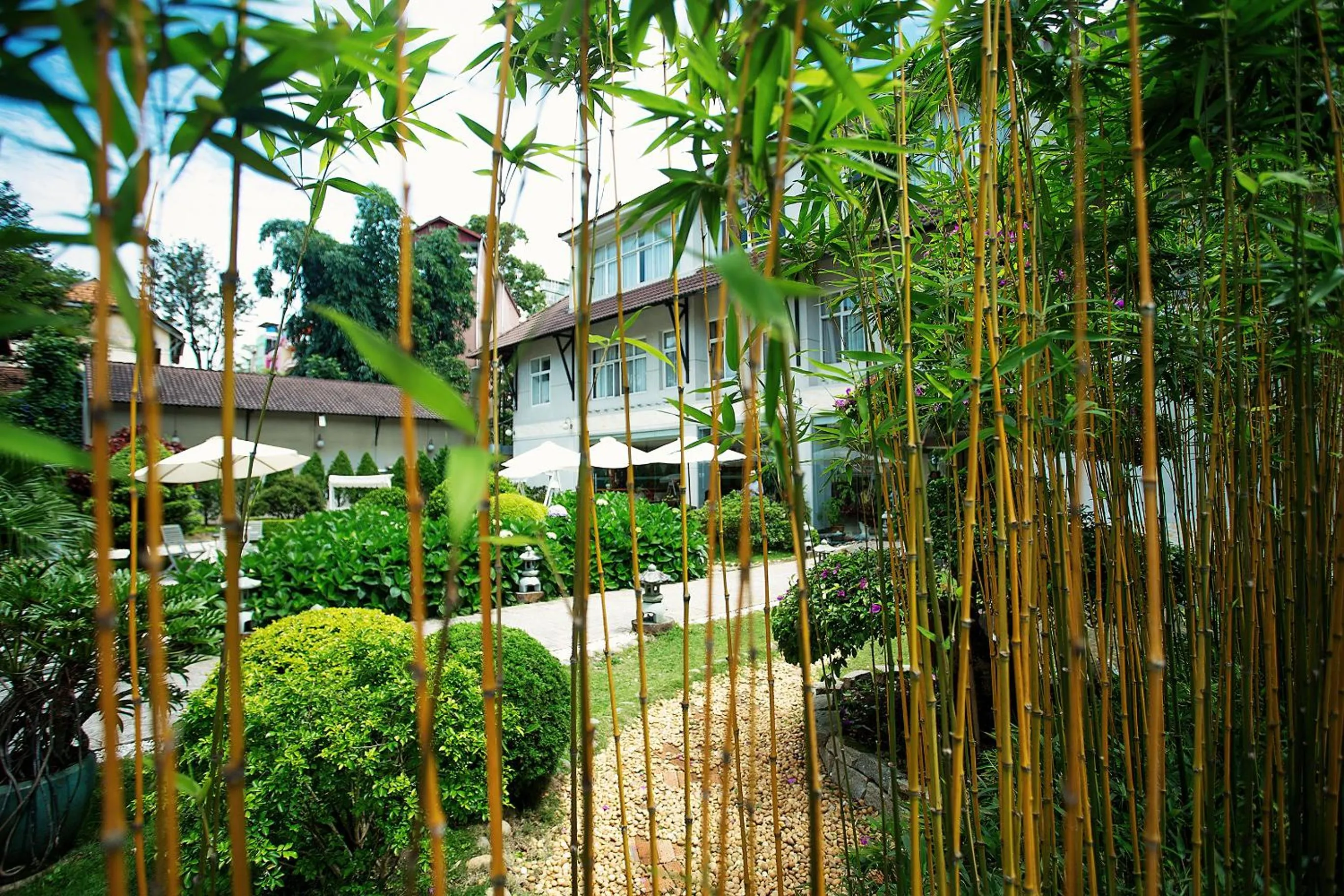 Garden view in Muong Thanh Holiday Da Lat Hotel