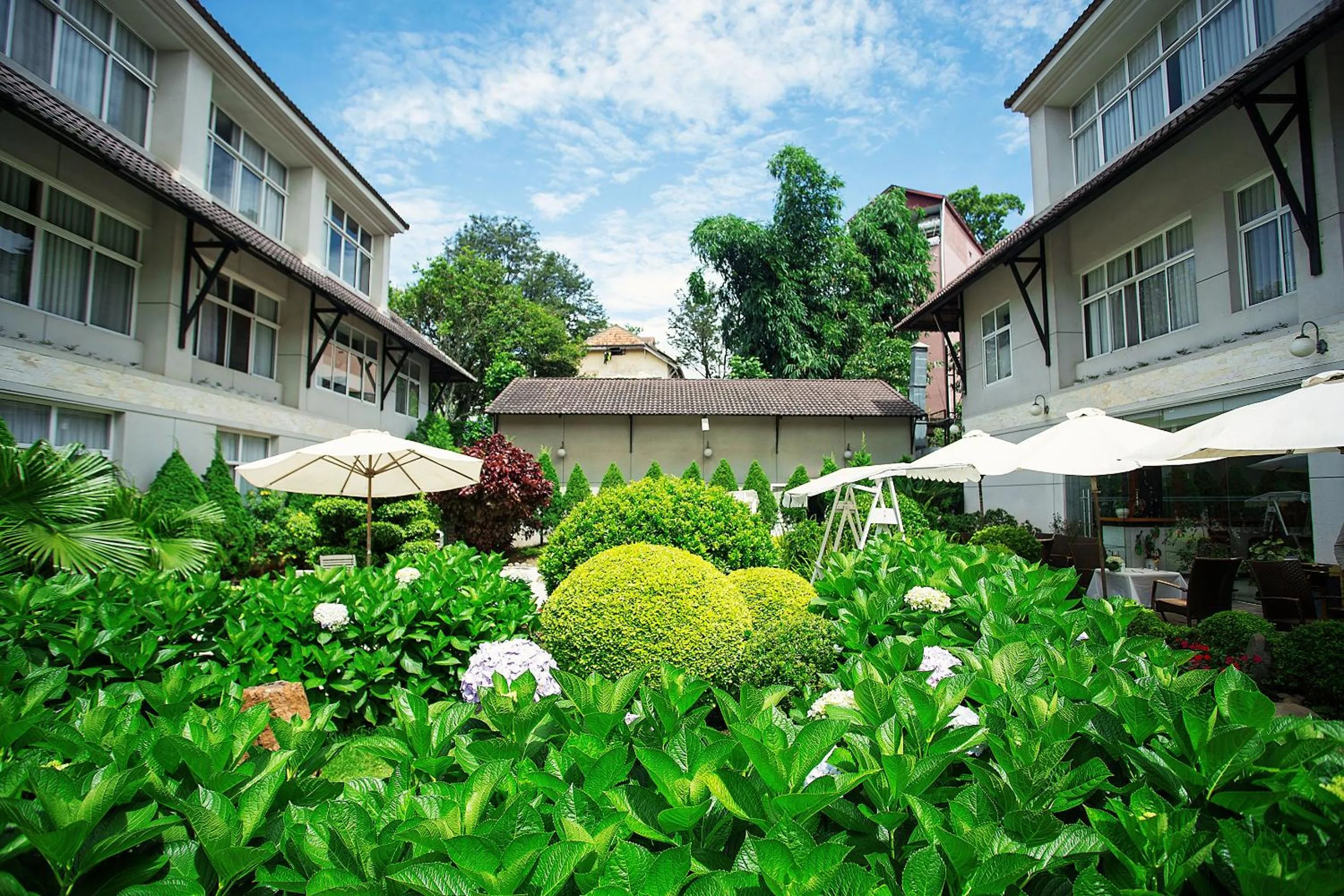 Garden in Muong Thanh Holiday Da Lat Hotel