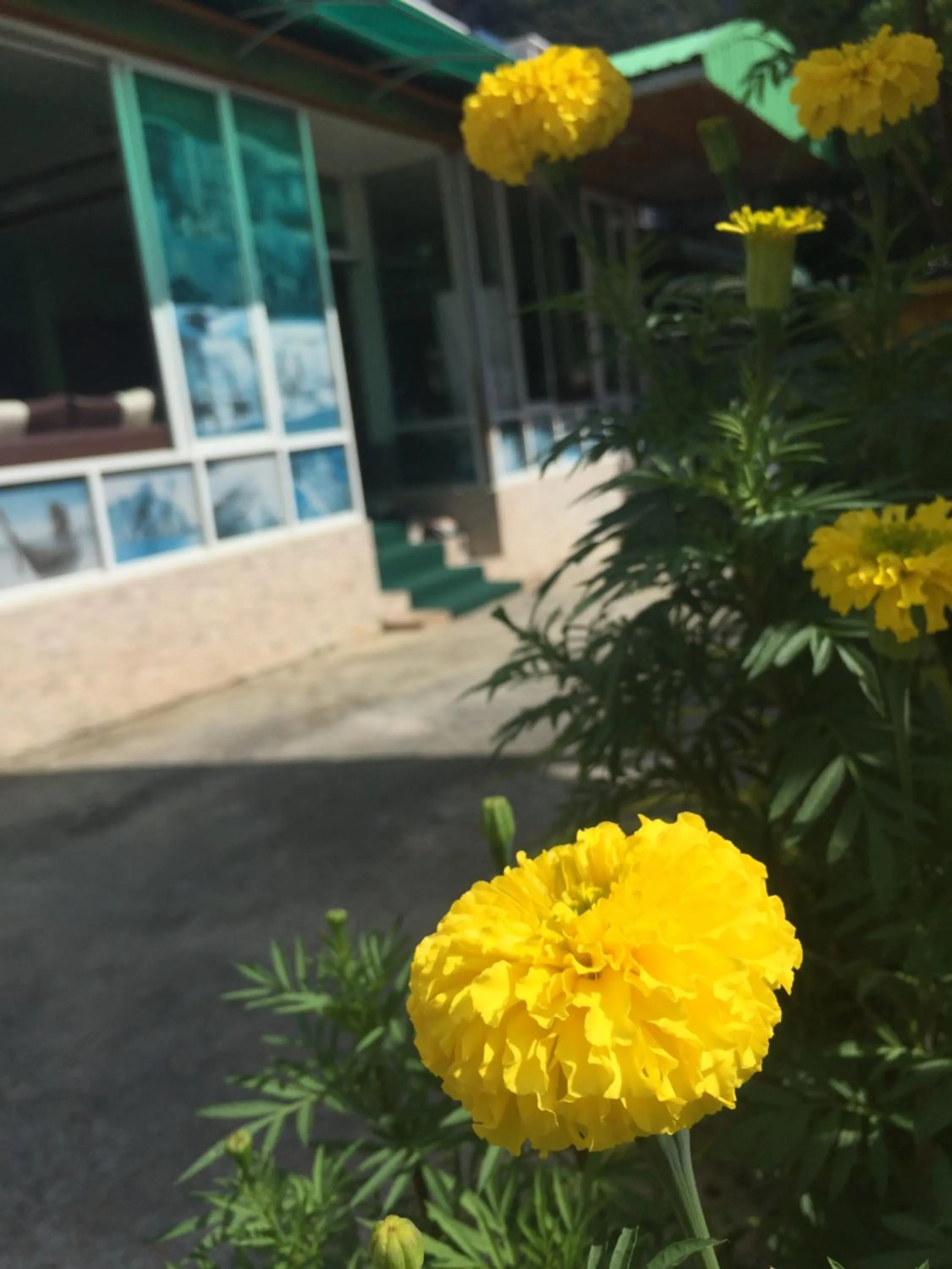 Aonang Village Resort