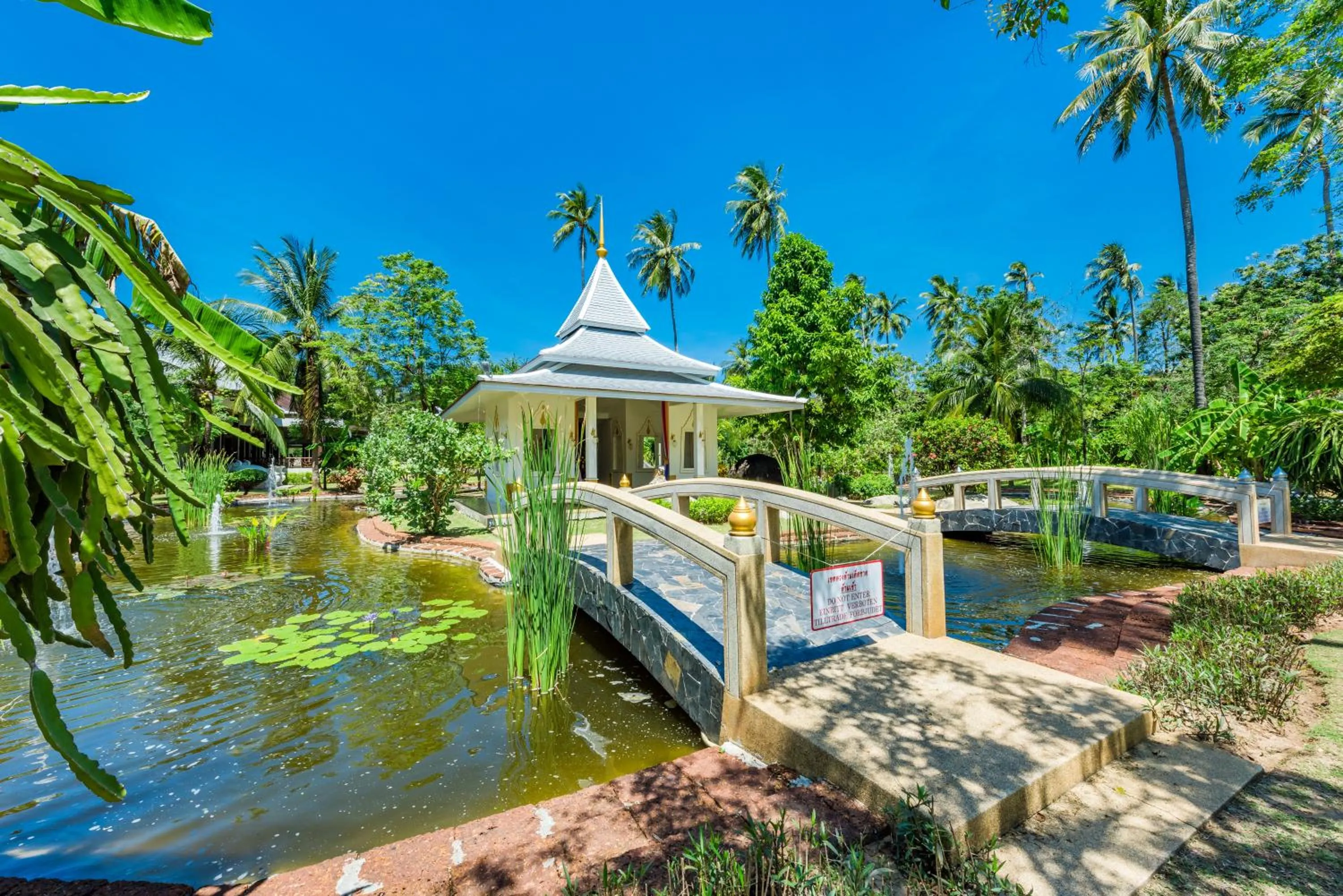 Property building, Garden in Duangjitt Resort and Spa - SHA Plus