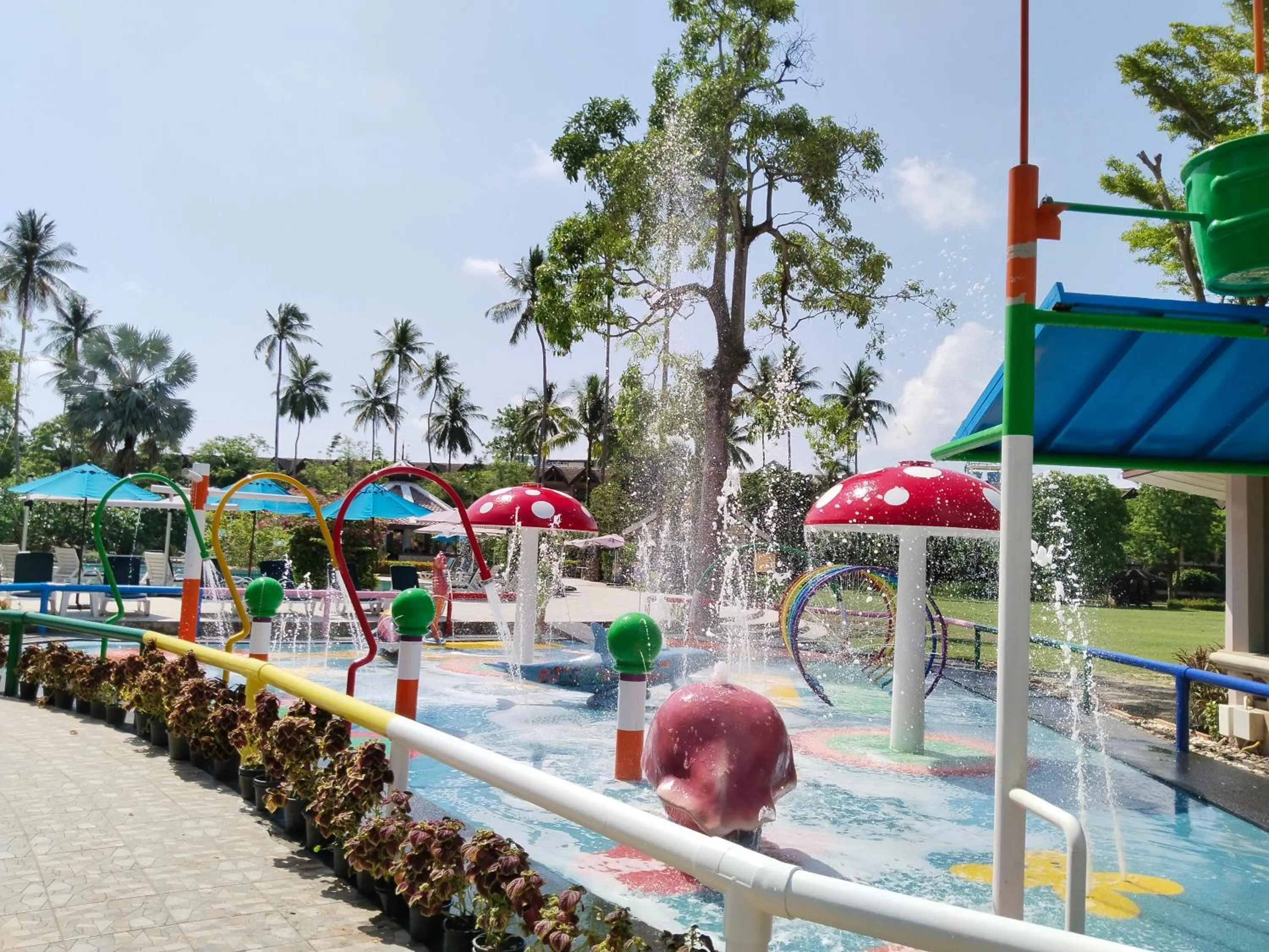 Swimming pool in Duangjitt Resort and Spa - SHA Plus