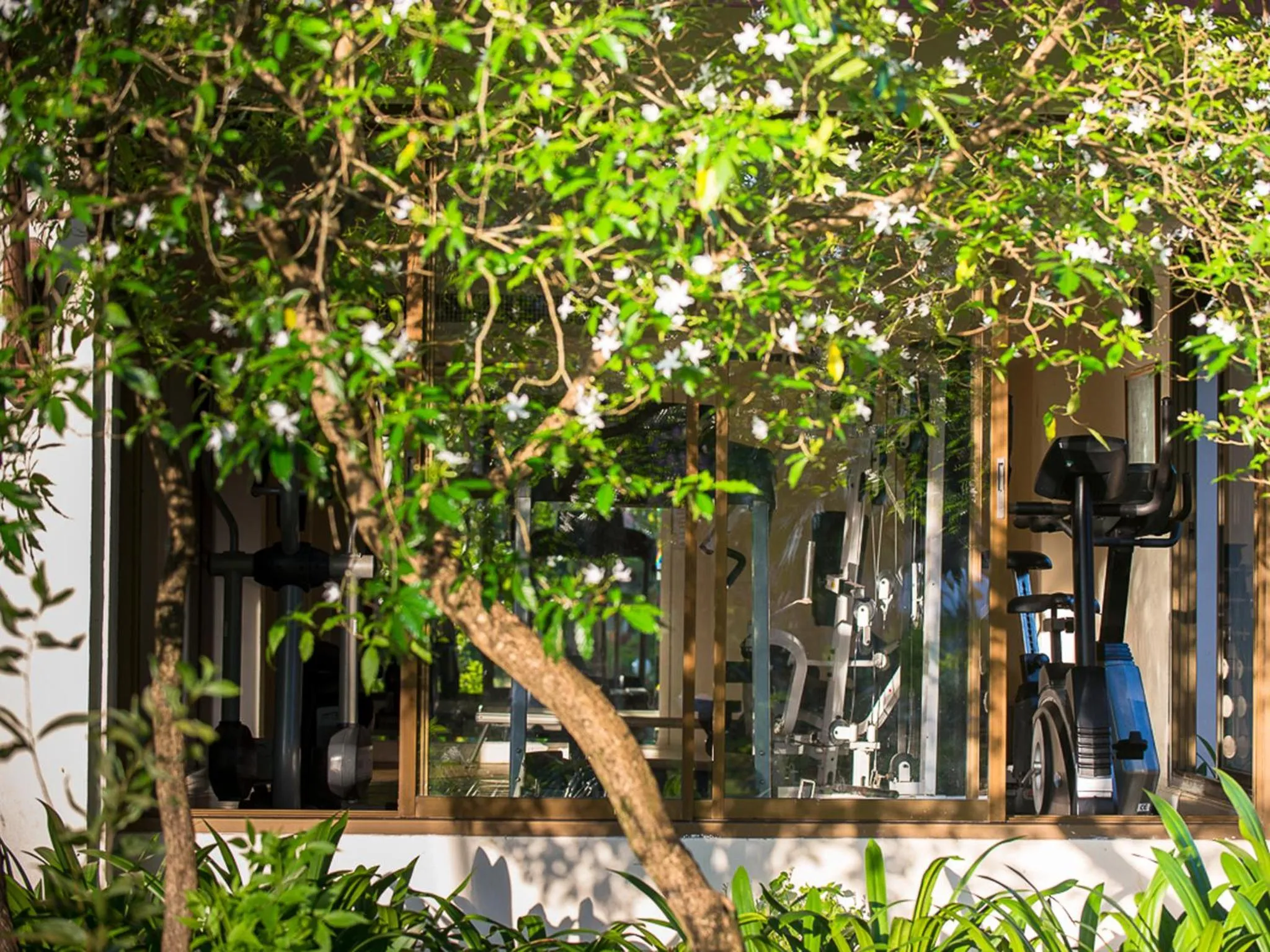 Fitness centre/facilities in Deevana Patong Resort & Spa