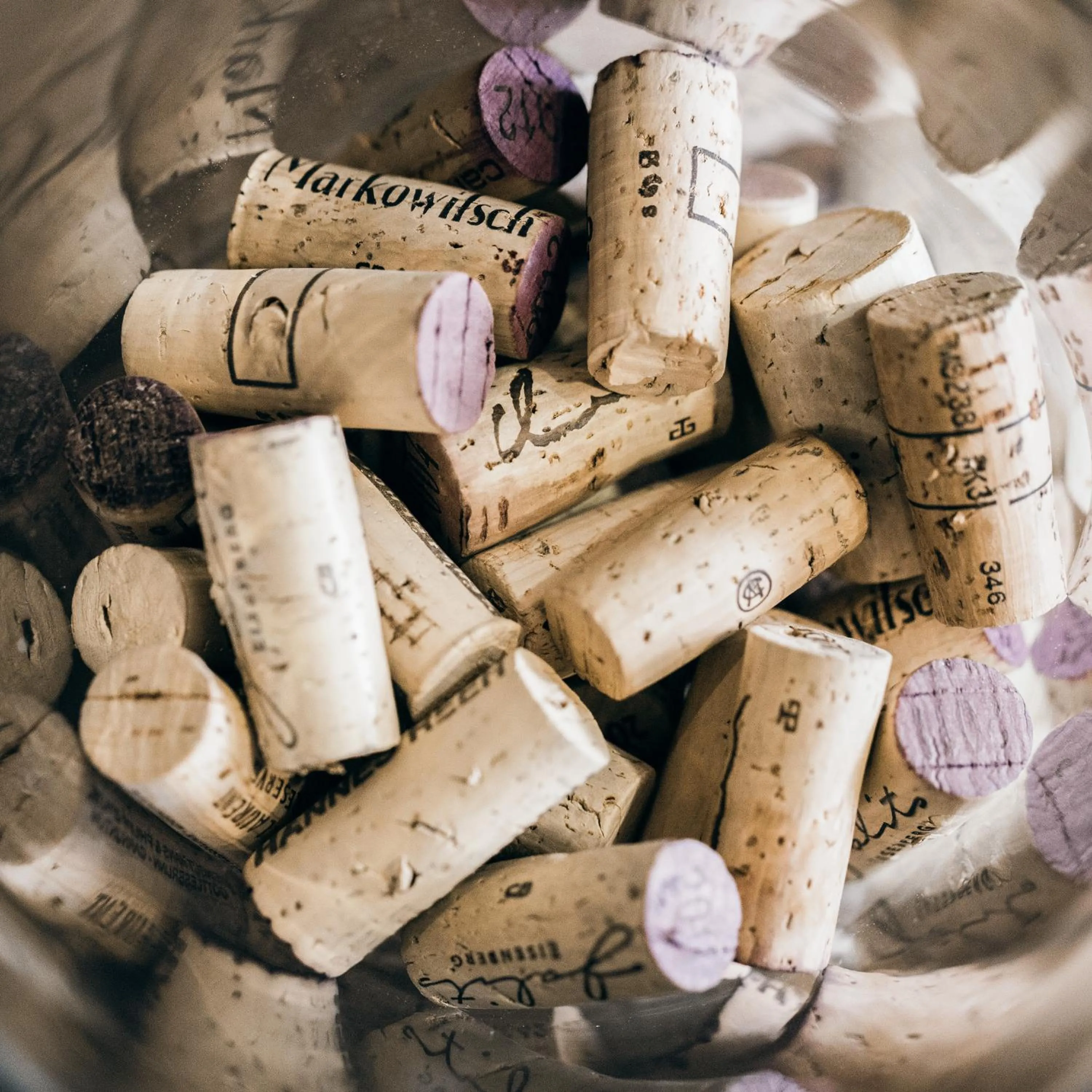 Restaurant/places to eat in Alpine Resort Sportalm