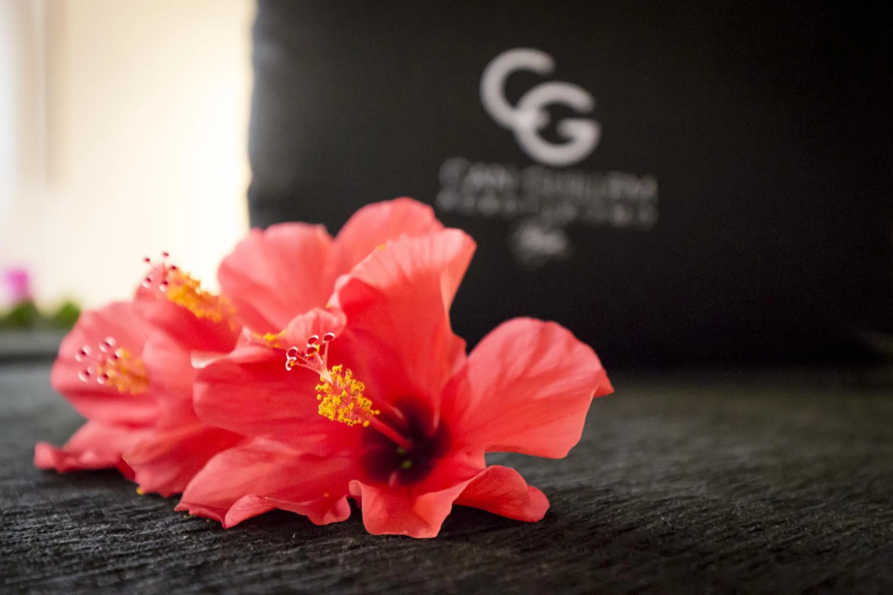 Decorative detail in Agroturismo Can Guillem