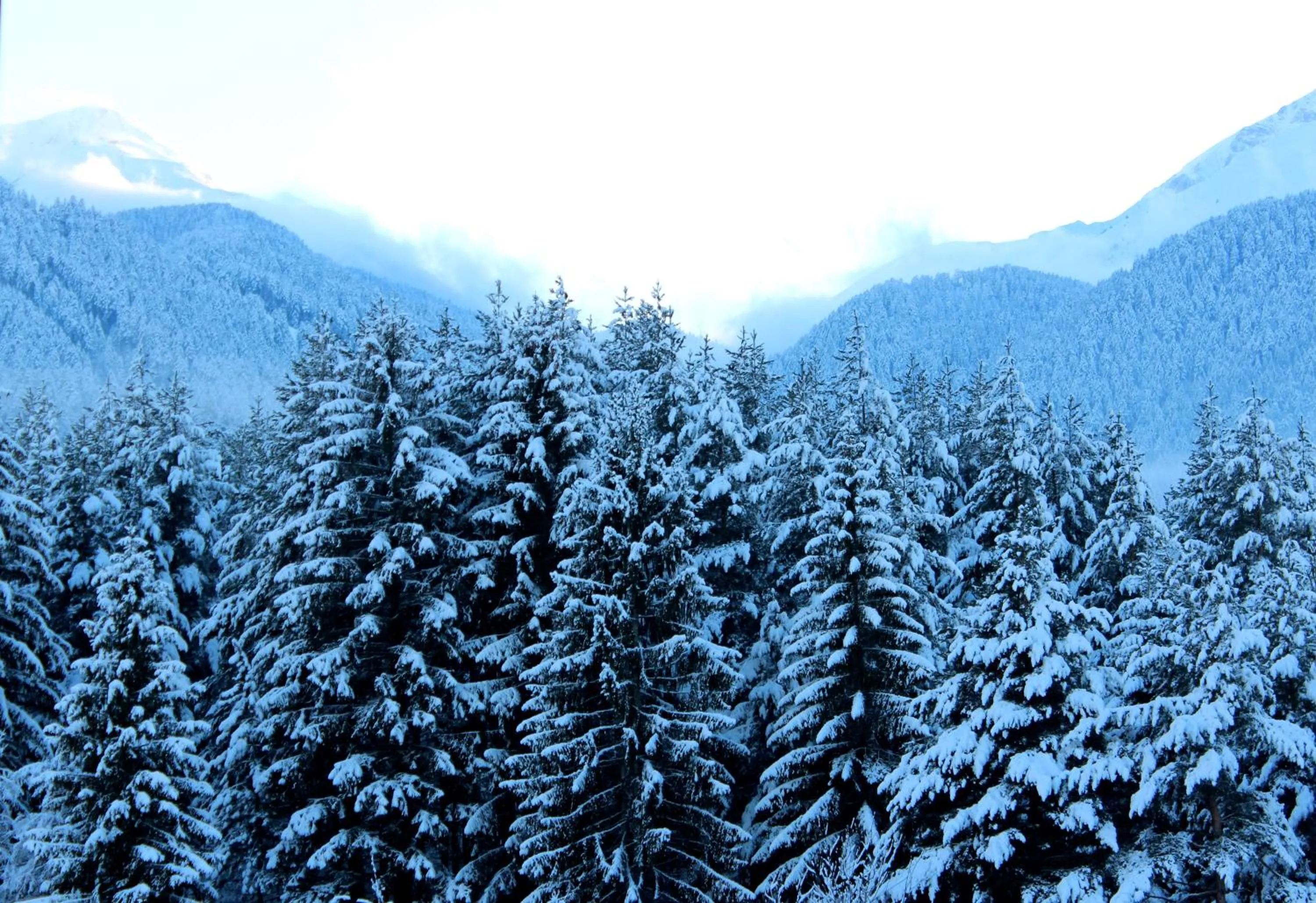 Area and facilities in Saint George Palace Aparthotel