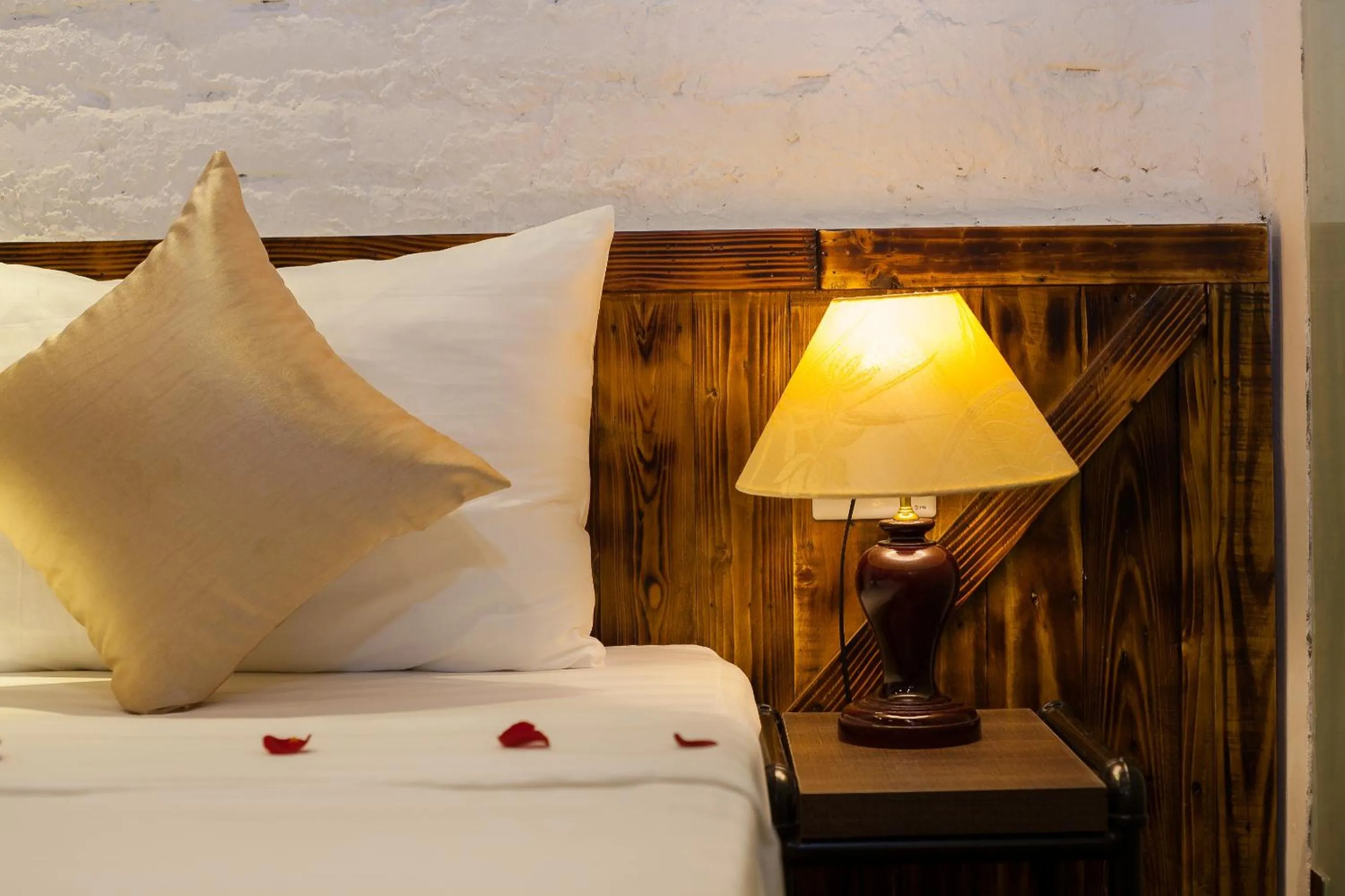 Bed in Luxury Backpakers Hotel