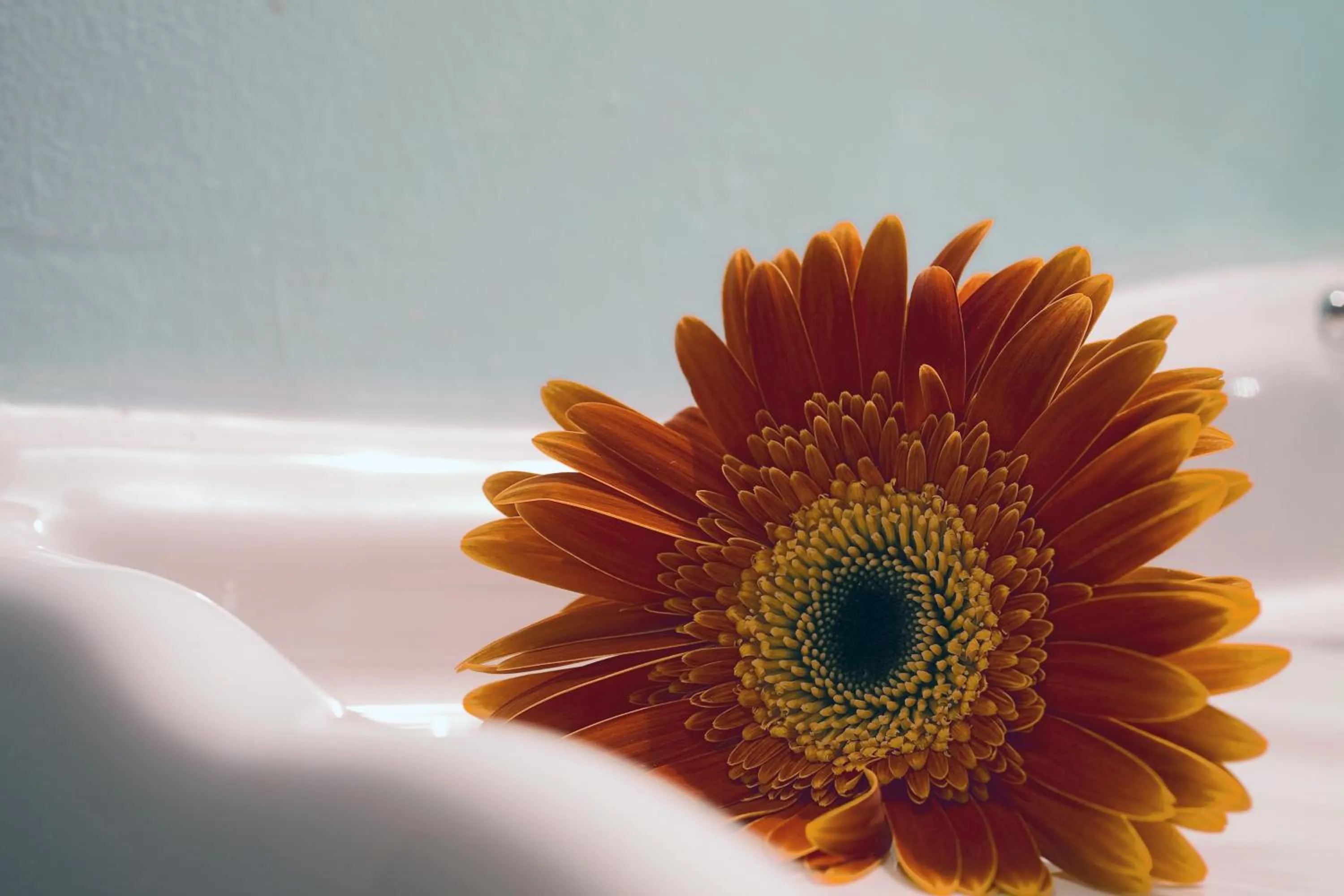 Bathroom in Hotel Boutique Real Posada De Liena con jacuzzi y Restaurante Liena