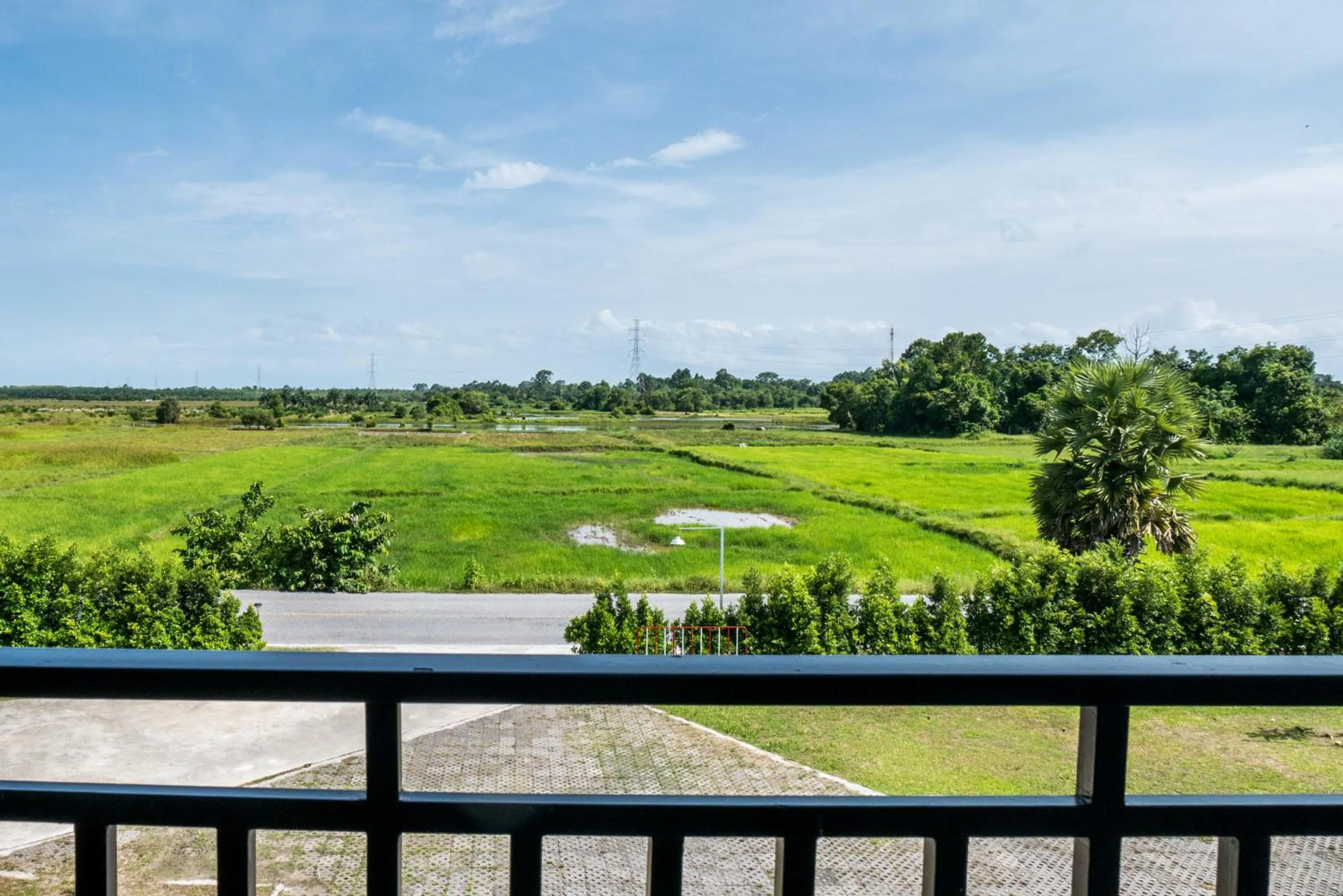 Garden view in B3 Hotel