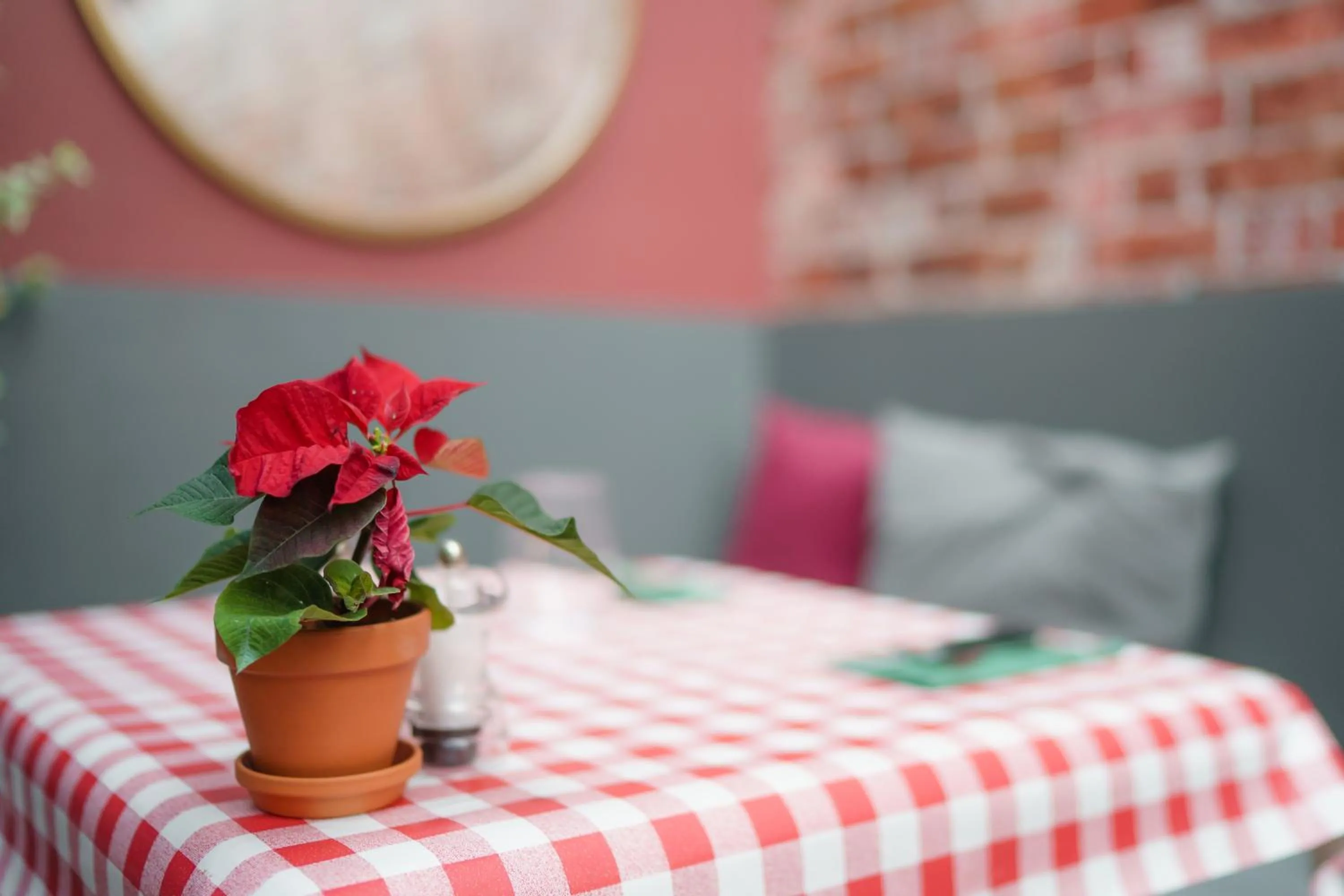 The Limes By Luigis Al Fresco