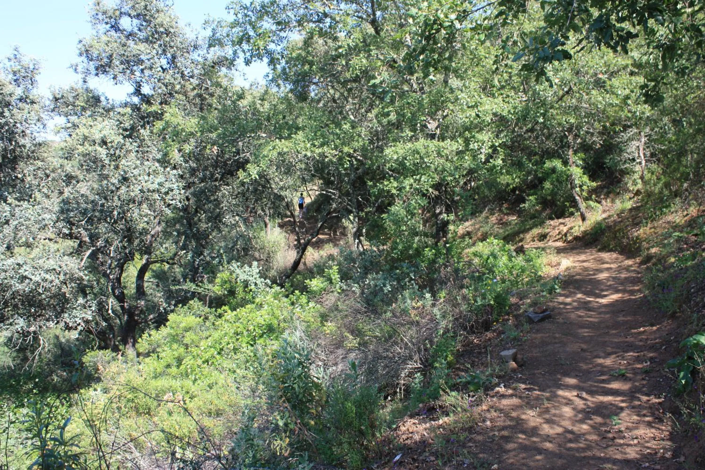 Hiking in La Posada Del Infante