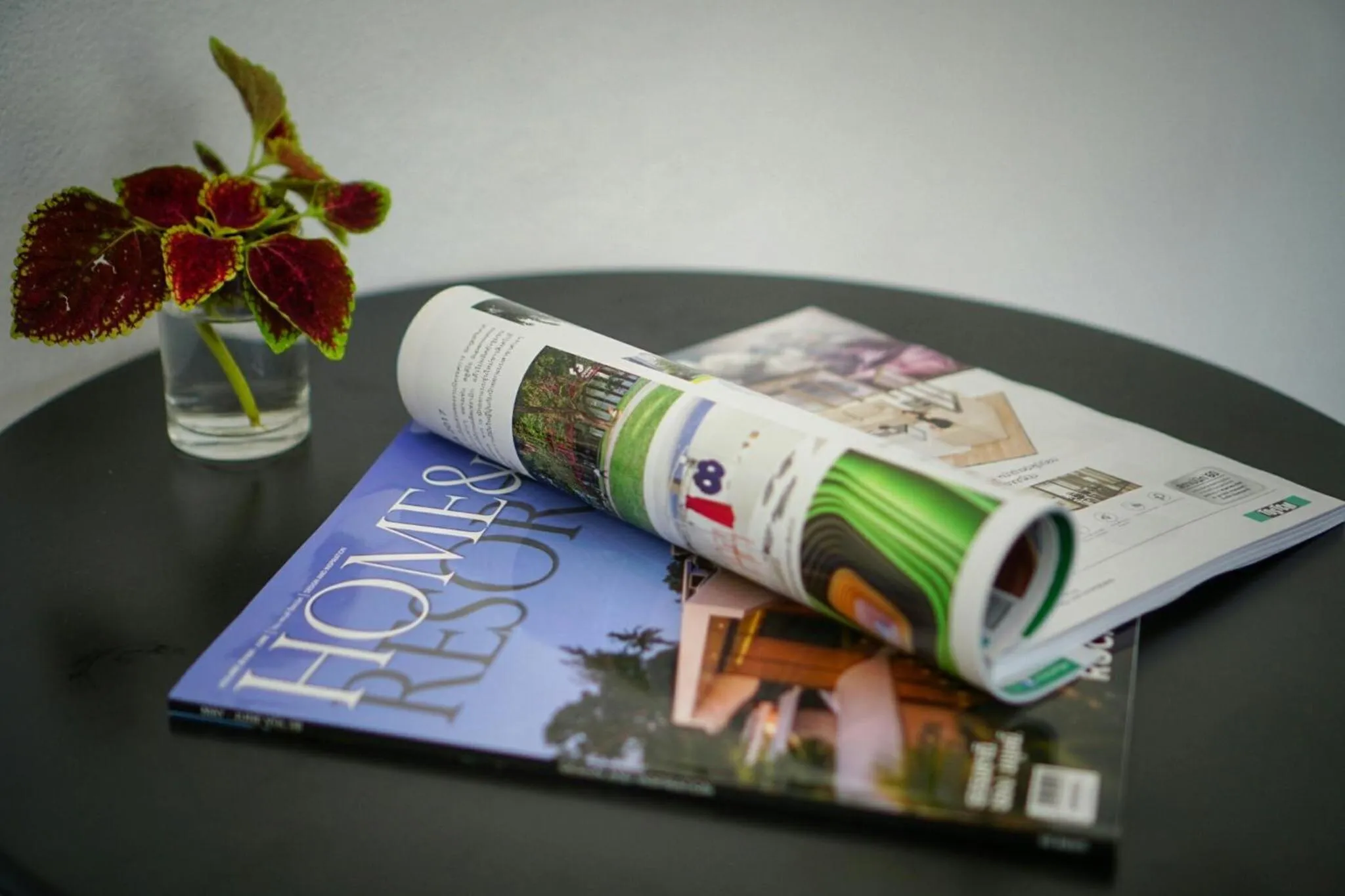 Area and facilities in Koh Kood BED's