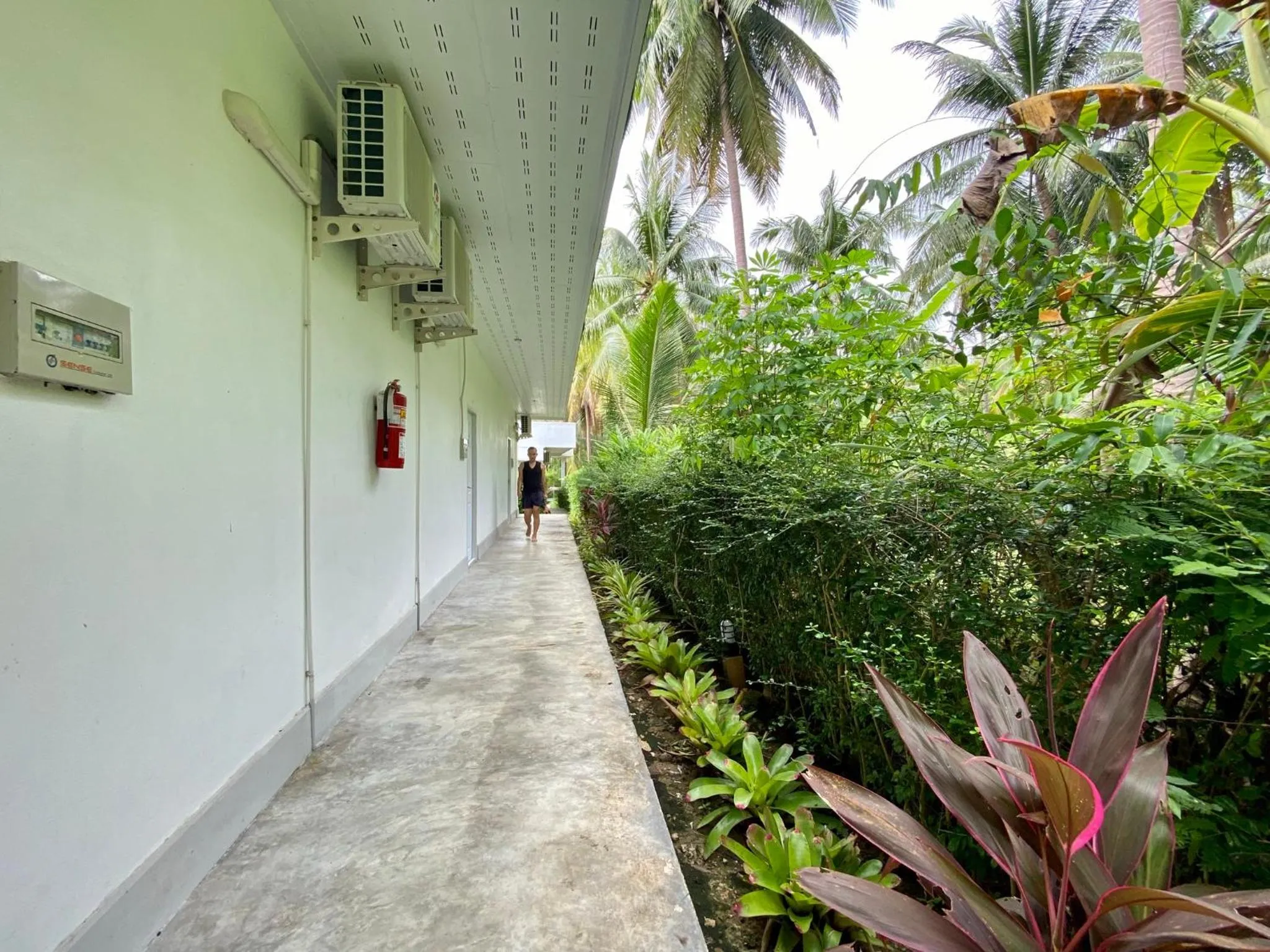 Facade/entrance in Koh Kood BED's