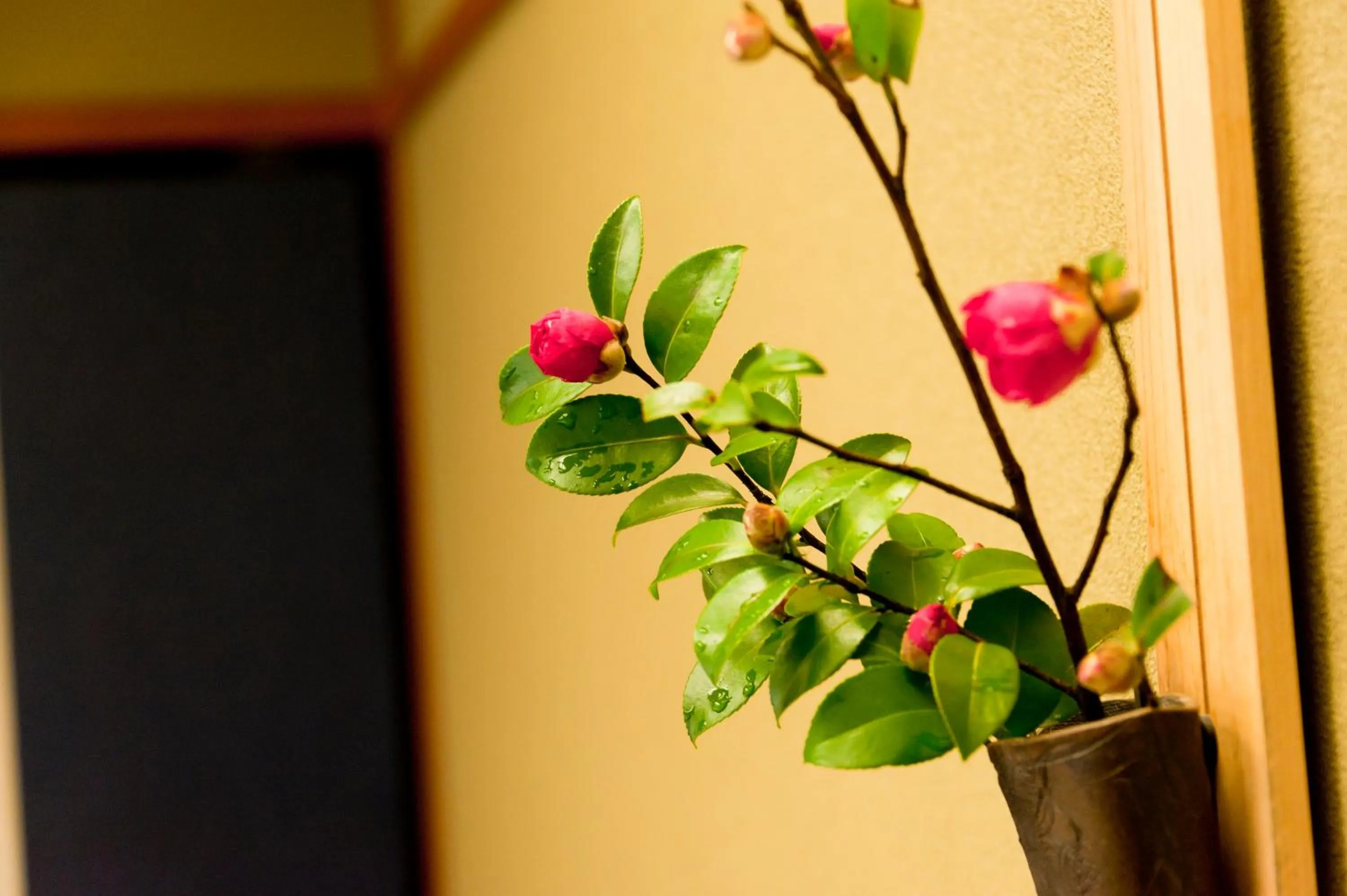 Area and facilities in Ryotei Manyou