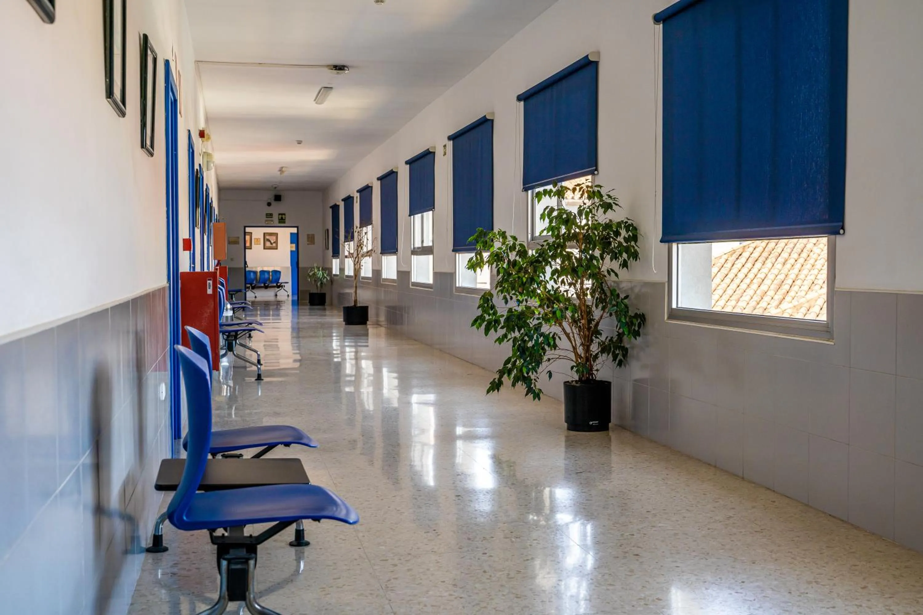 Area and facilities in Albergue Inturjoven Malaga