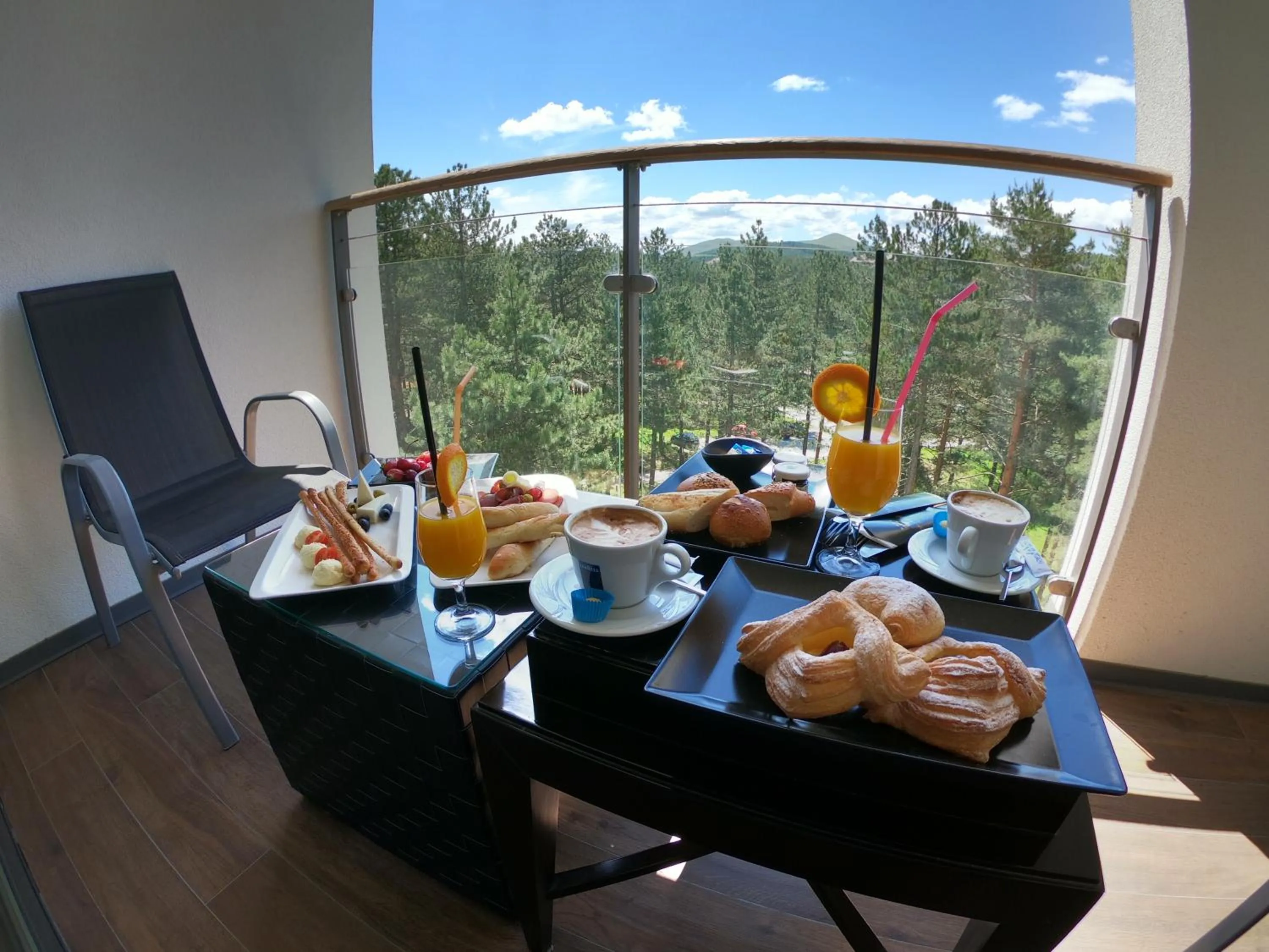 Balcony/Terrace in Hotel Palisad
