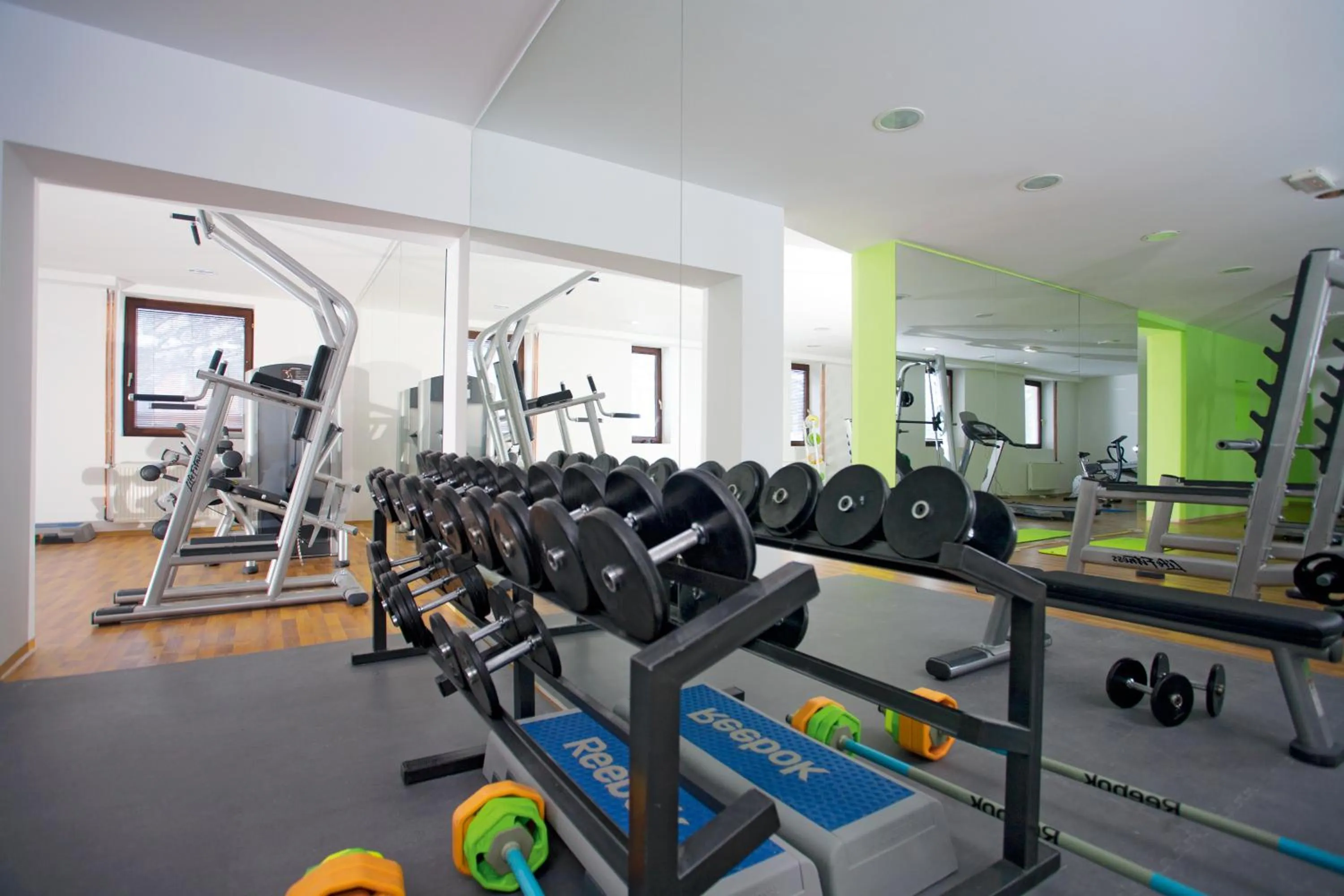 Fitness centre/facilities in Hotel Palisad