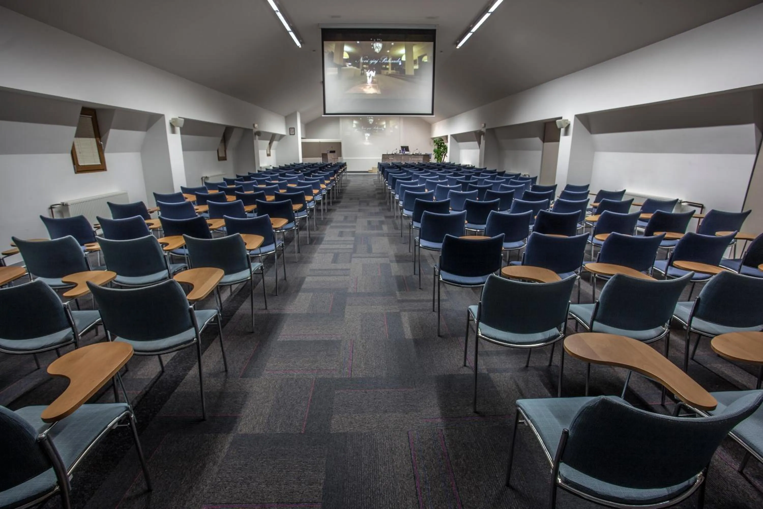 Business facilities in Hotel Palisad