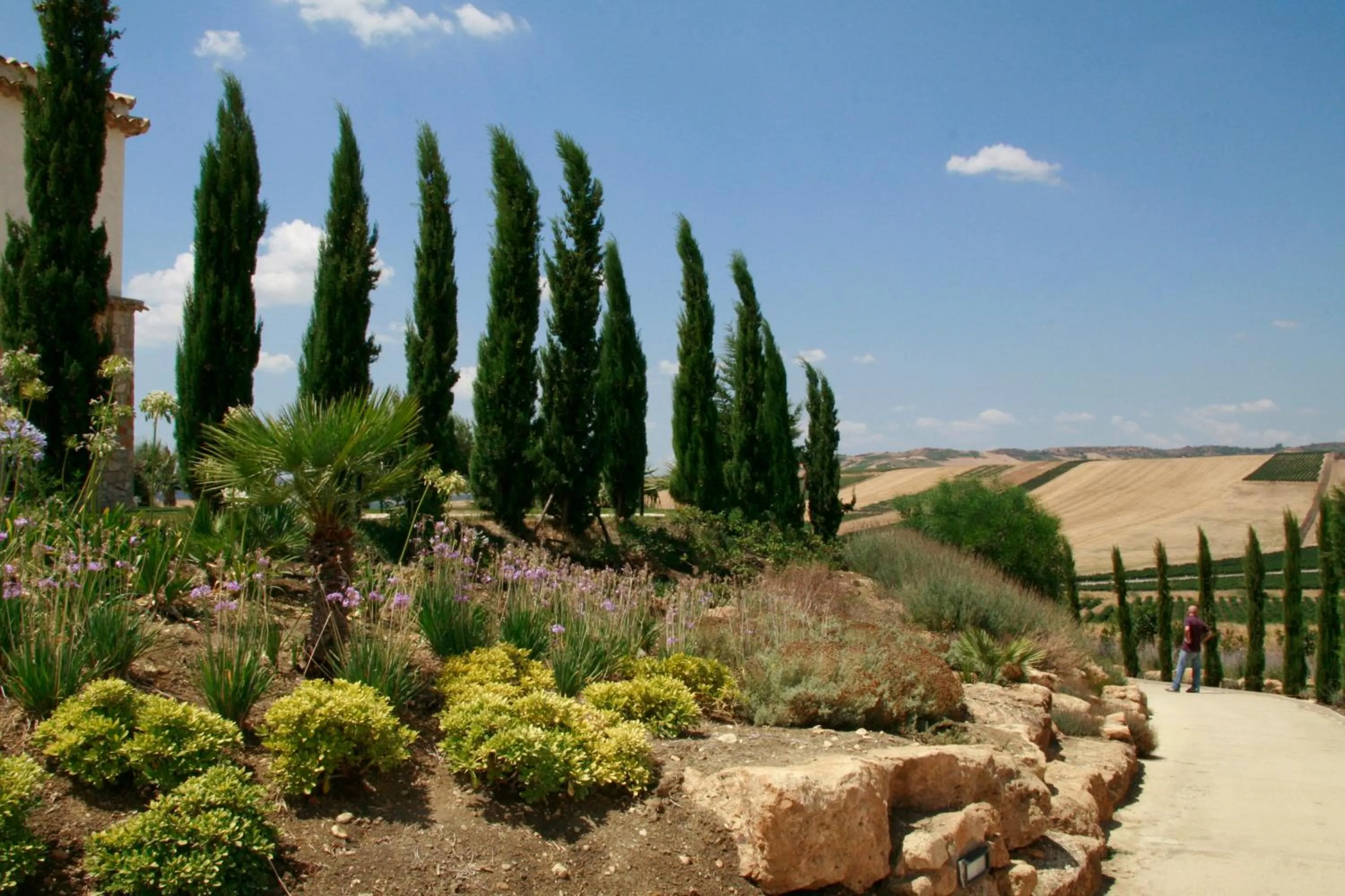 Garden in Don Giovanni Hotel