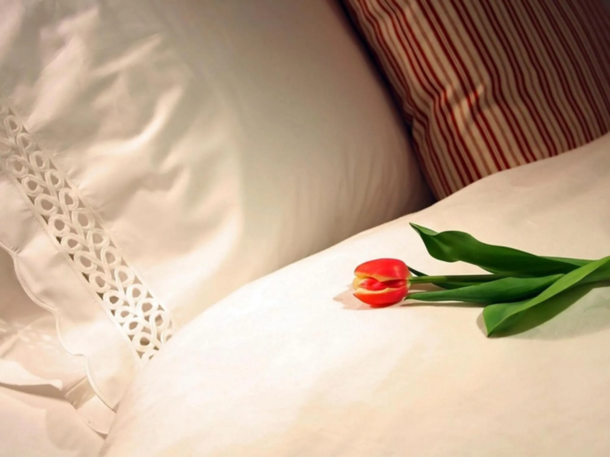 Decorative detail, Bed in Blau Hotel Las Caldas