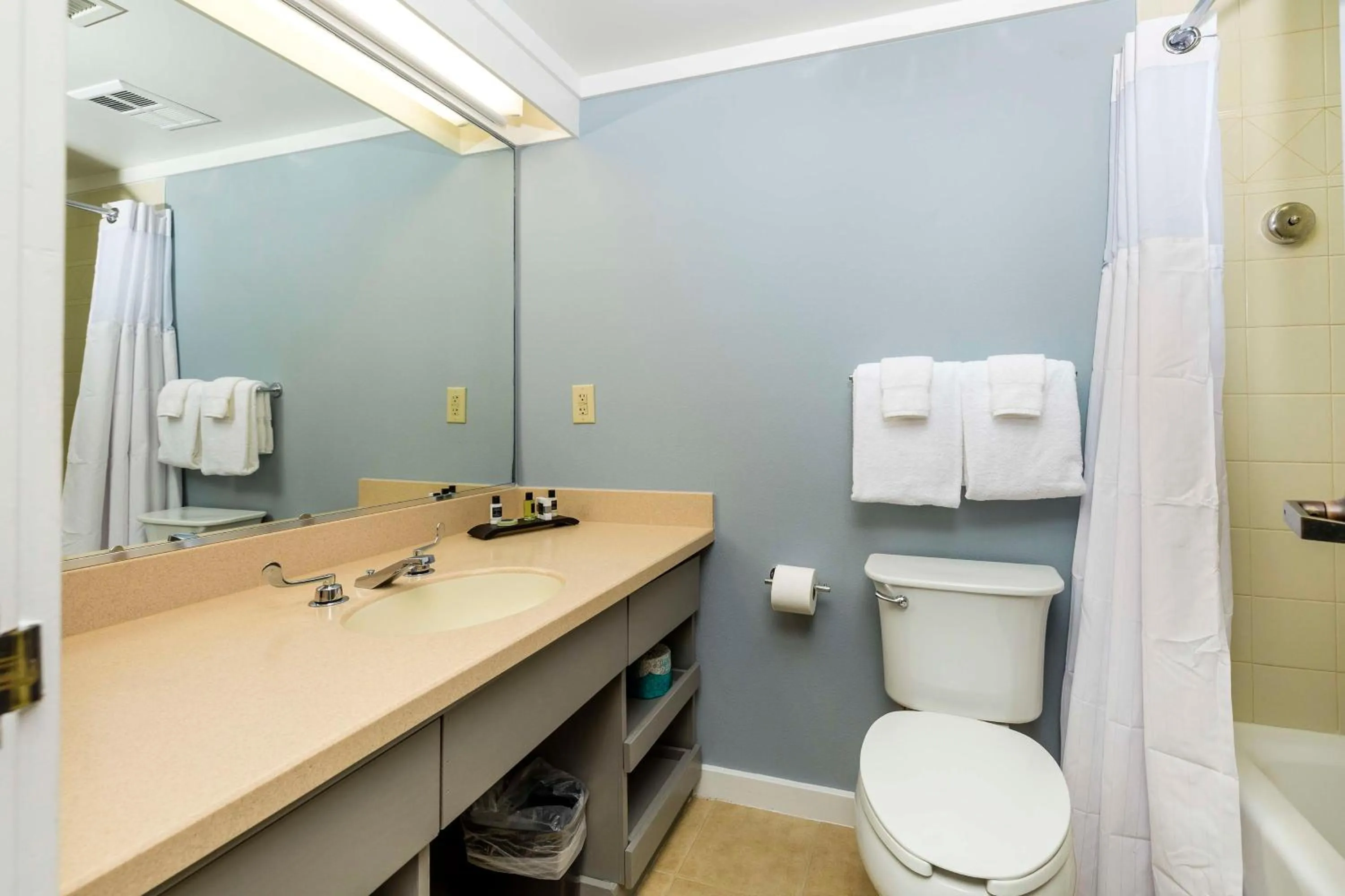 Bathroom in Waynesville Inn & Golf Club, Trademark Collection by Wyndham