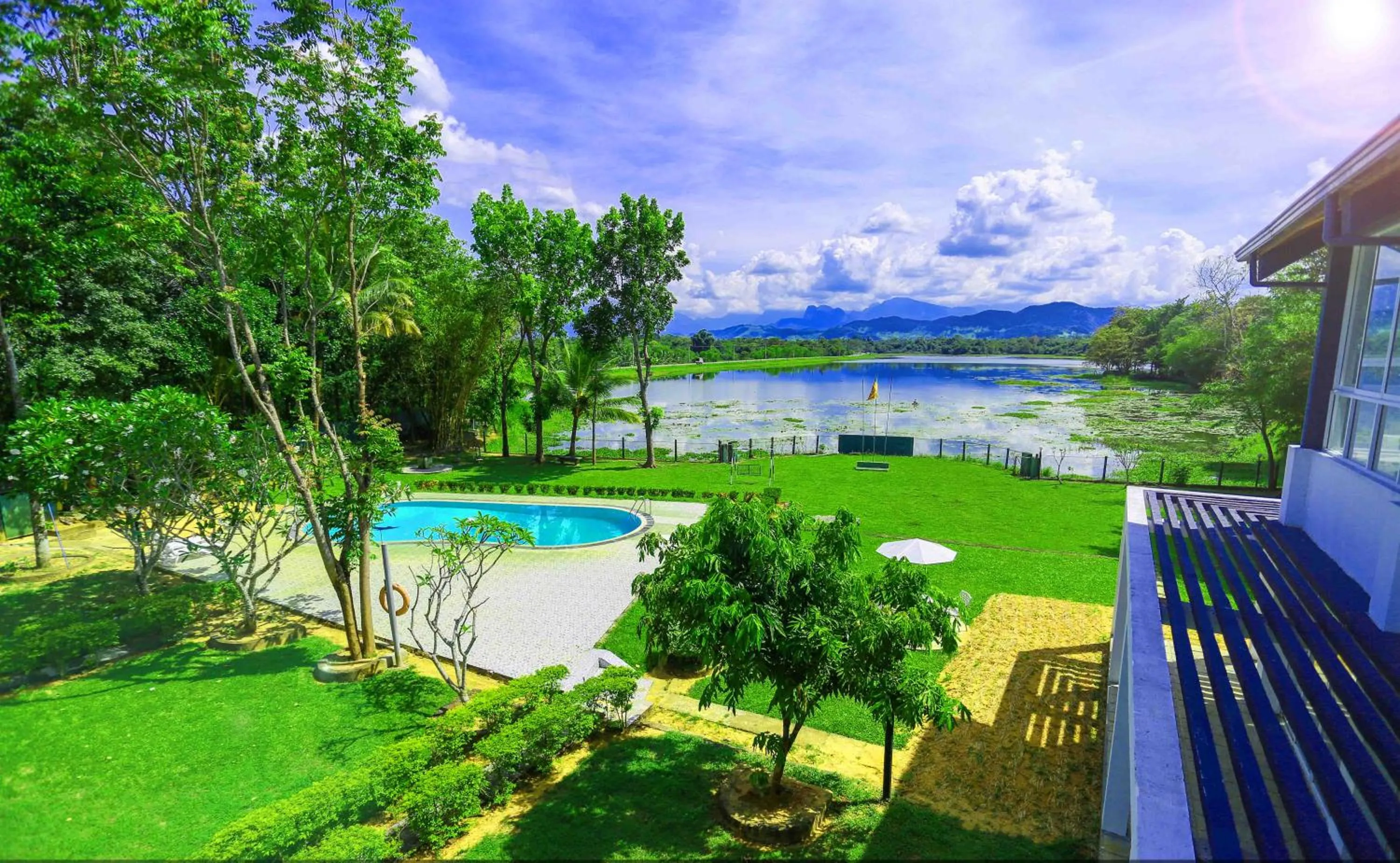 Pool view in Lavendish Wild Safari