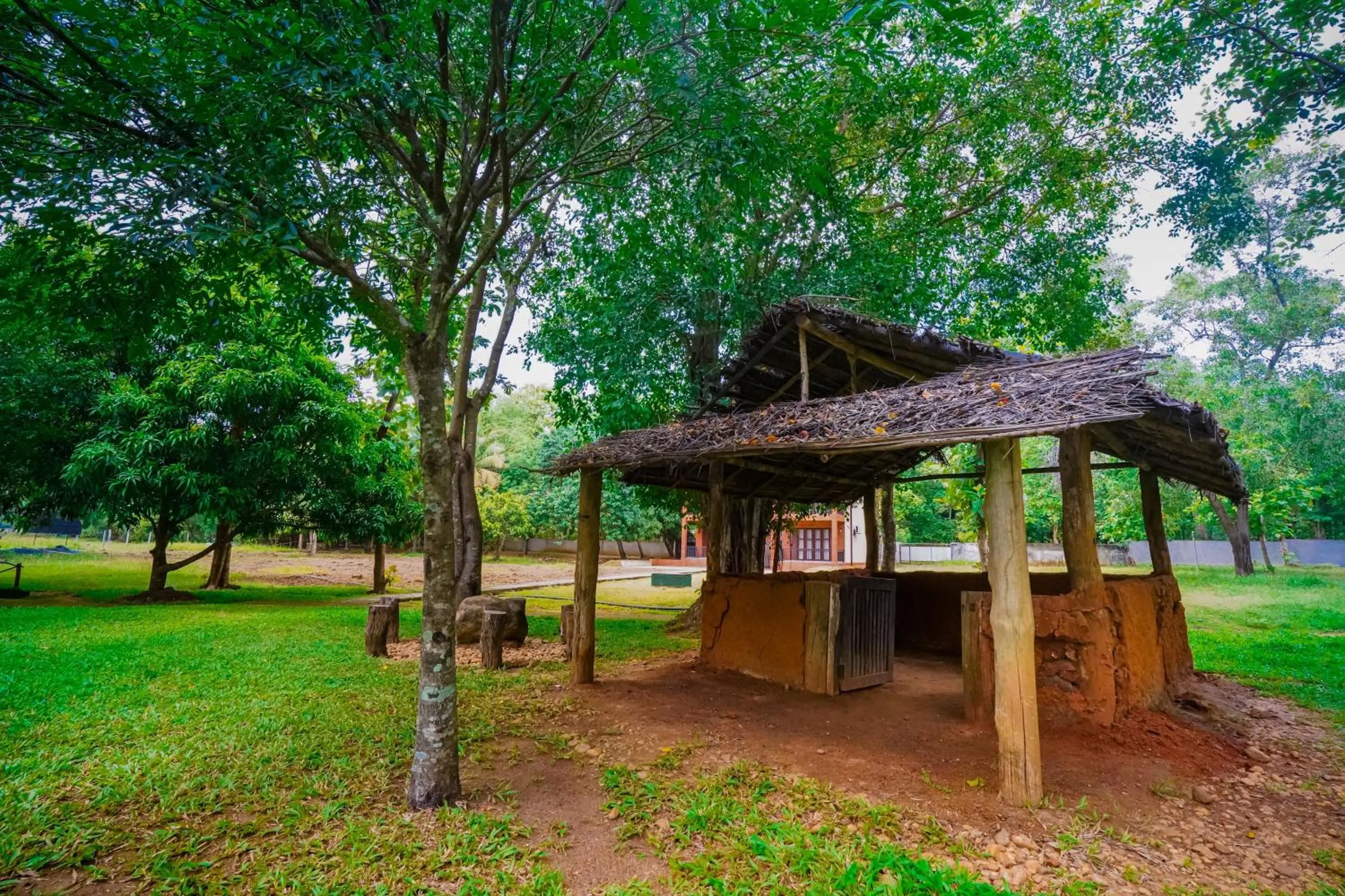 Natural landscape in Lavendish Wild Safari