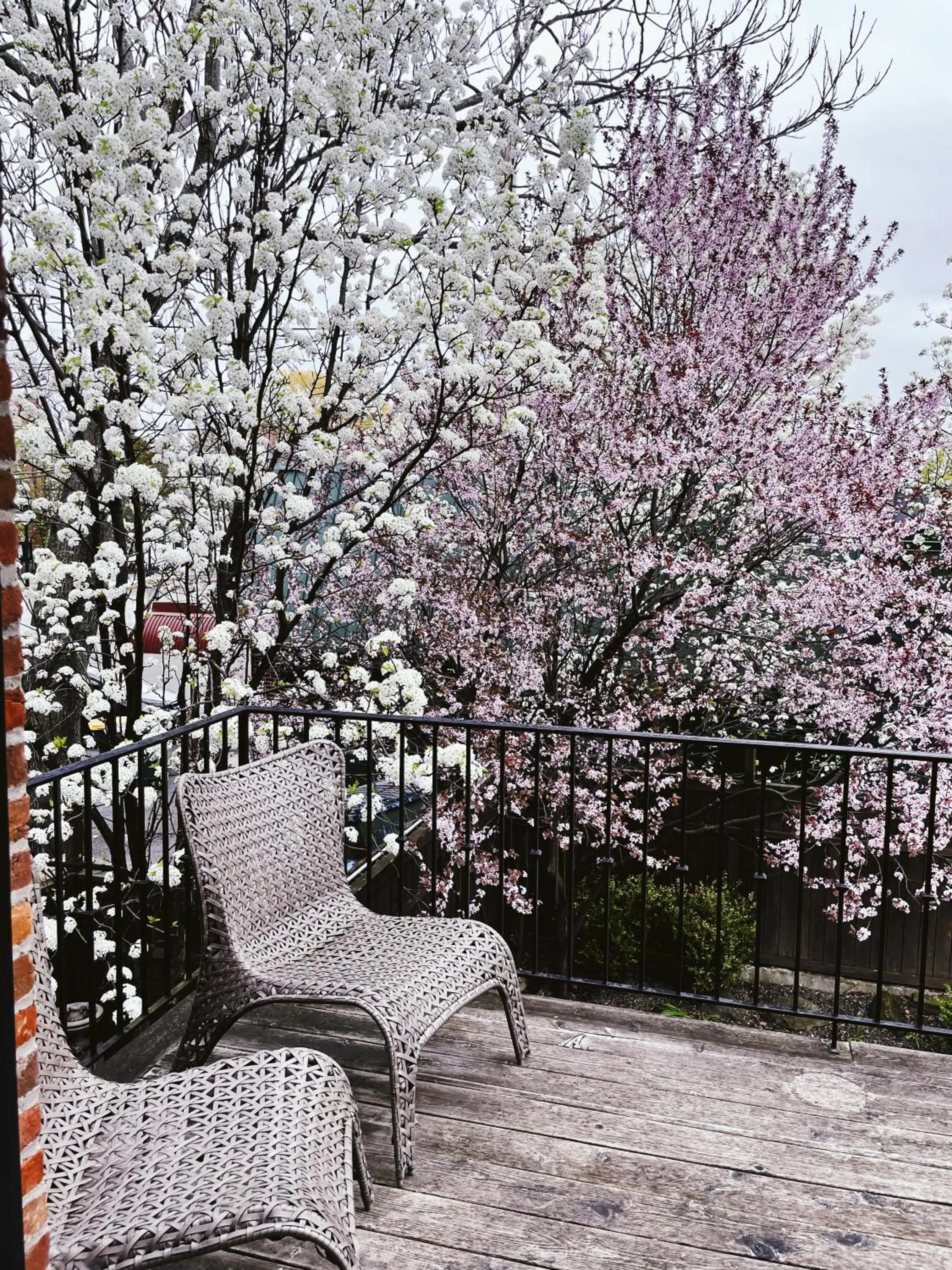 Balcony/Terrace in Wm. Farmer and Sons