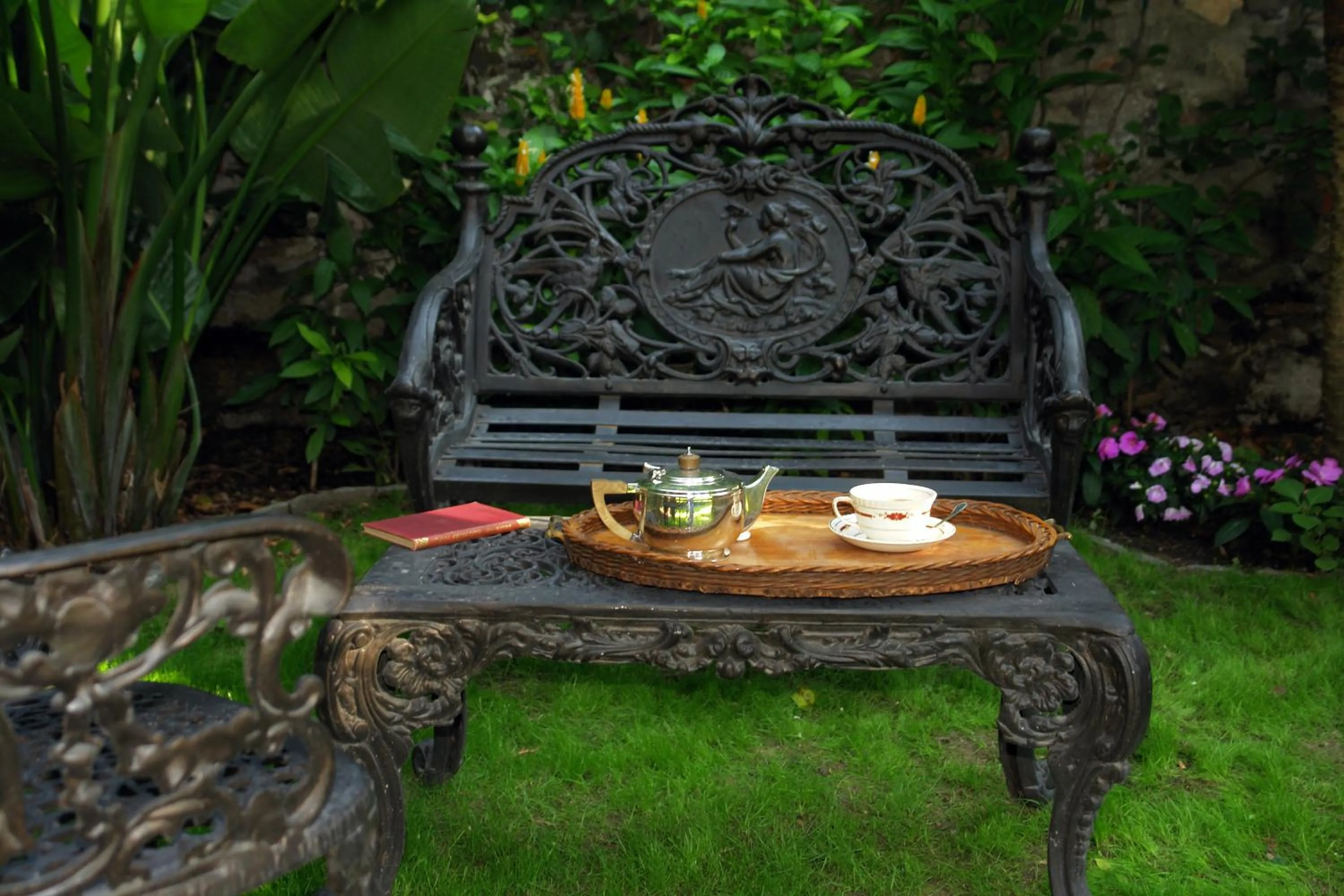 Garden in Casa Misha