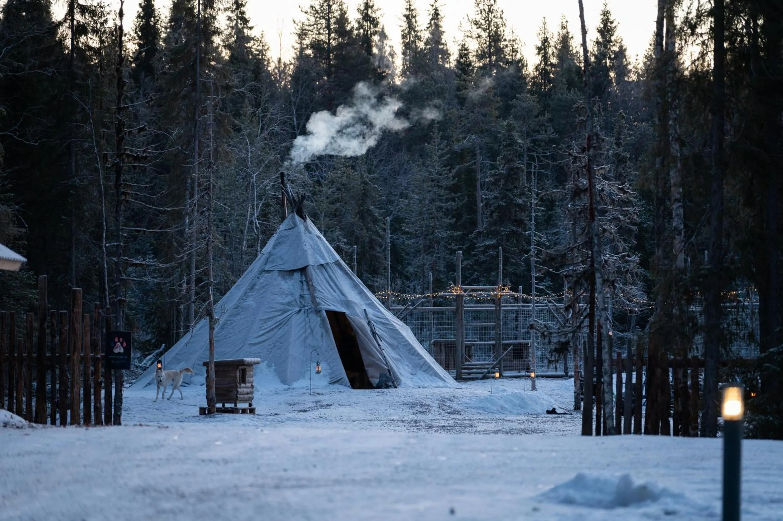 Activities in Nova Skyland Hotel