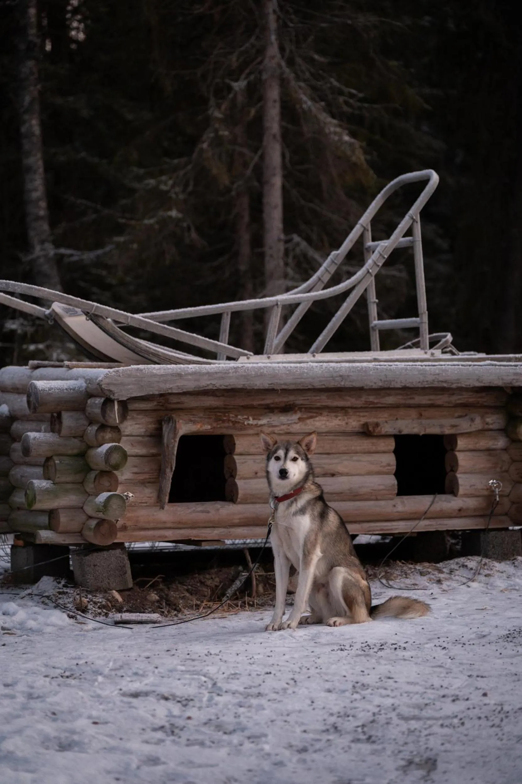 Activities in Nova Skyland Hotel