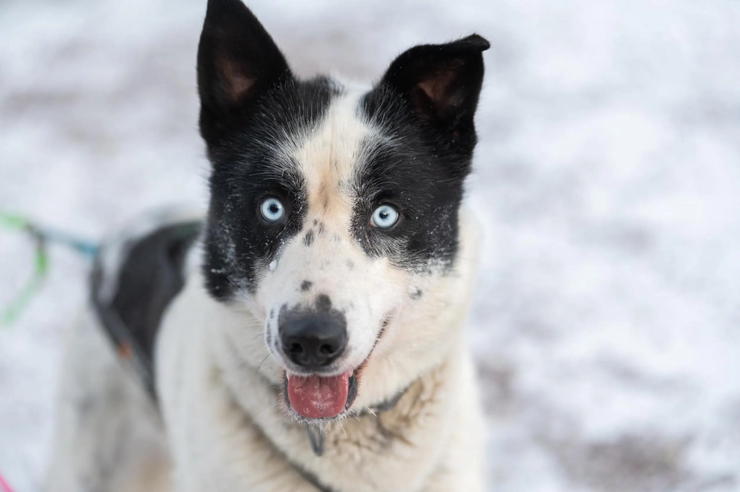 Activities in Nova Skyland Hotel