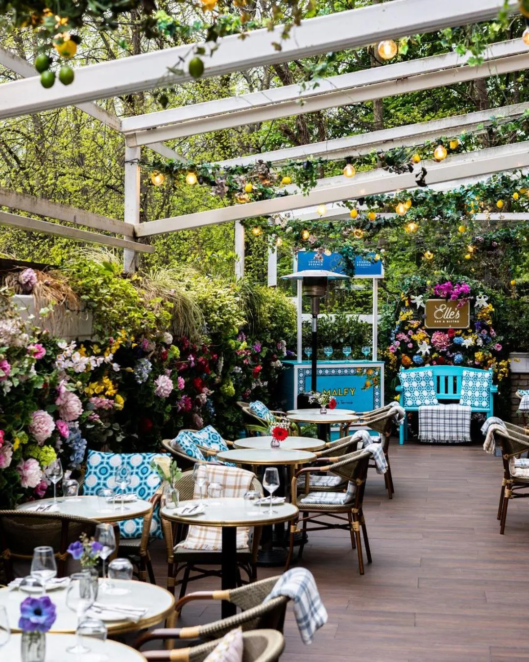 Restaurant/places to eat in Iveagh Garden Hotel