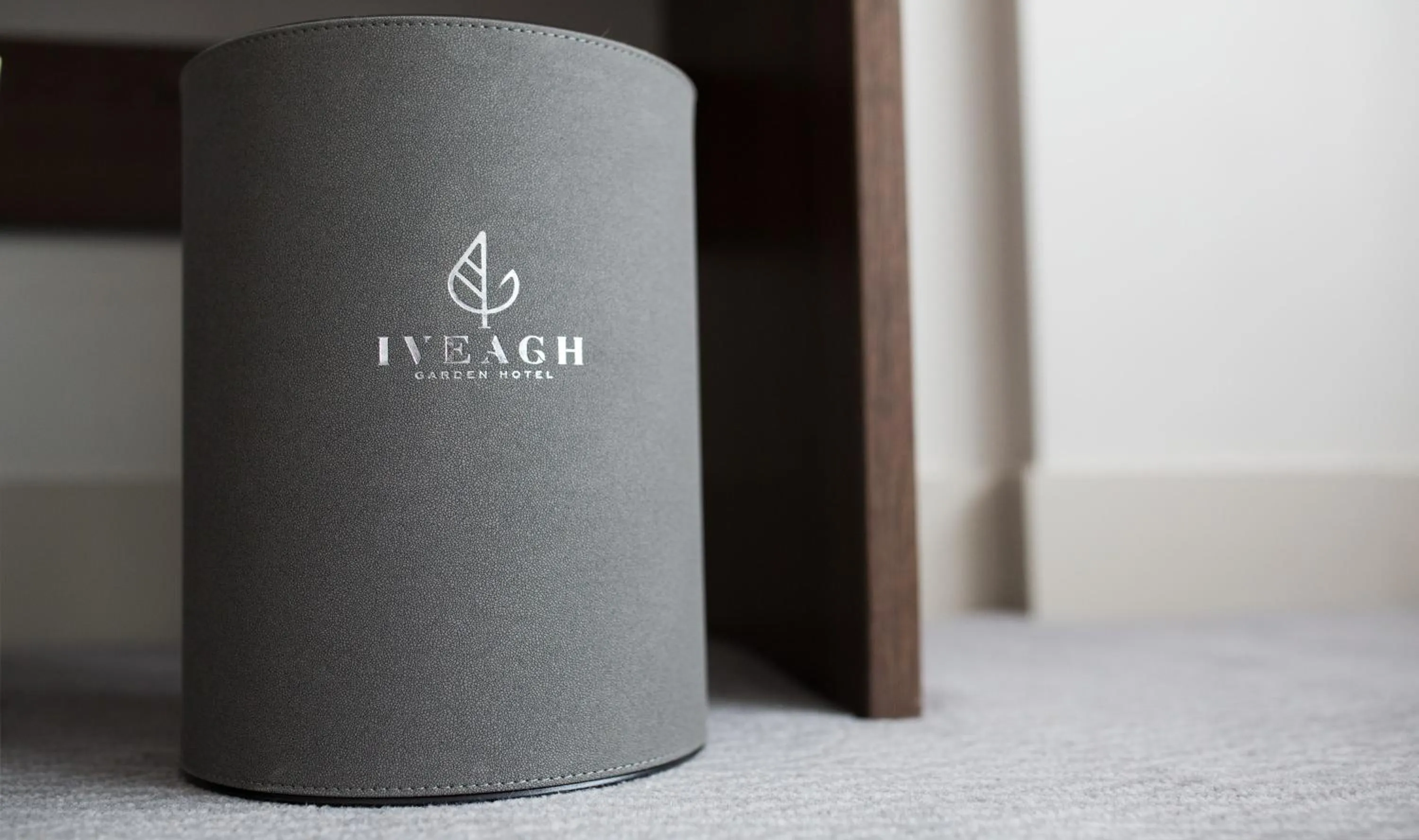 Decorative detail in Iveagh Garden Hotel