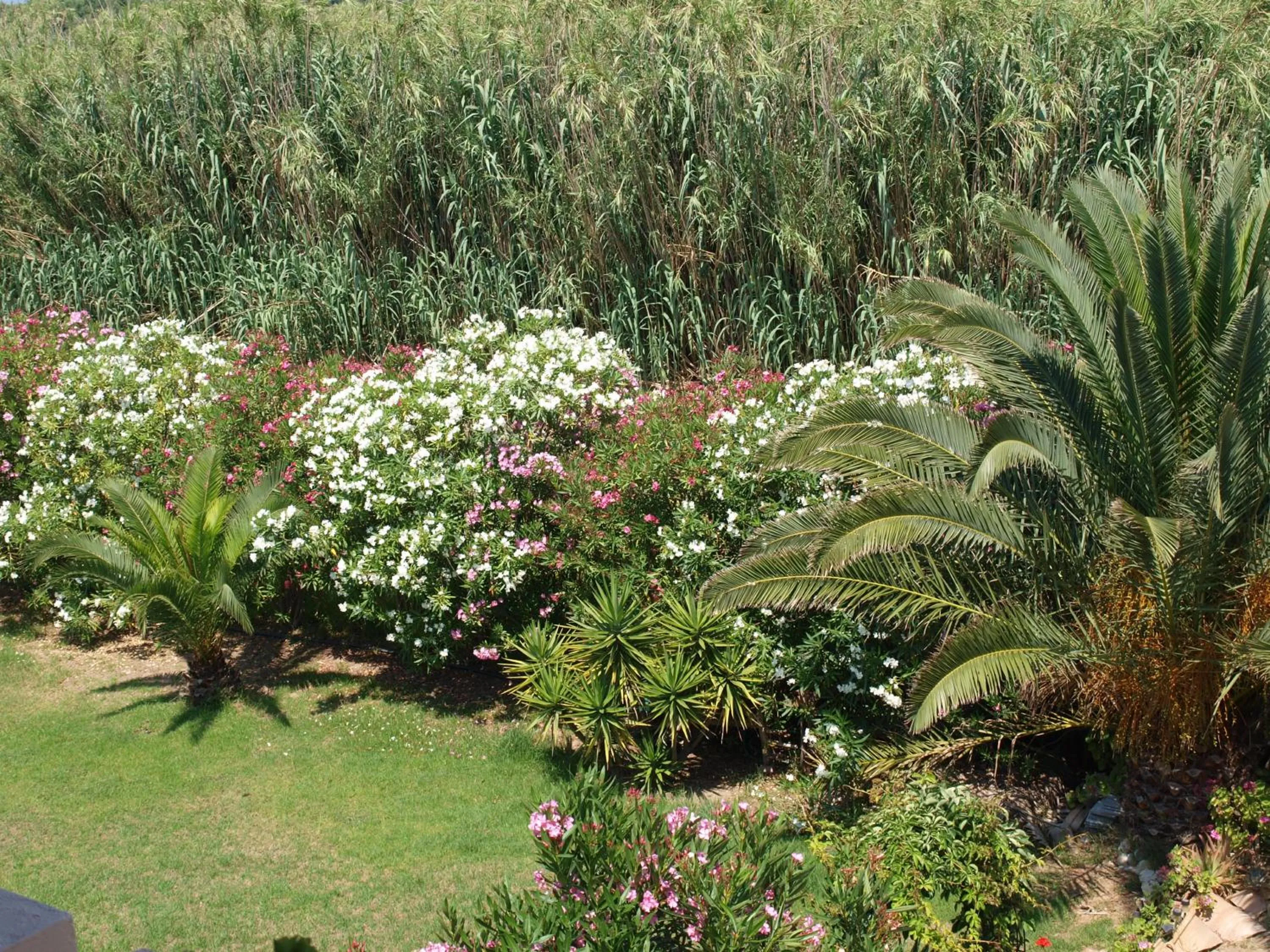 Property building in Villa Rita Apartments A