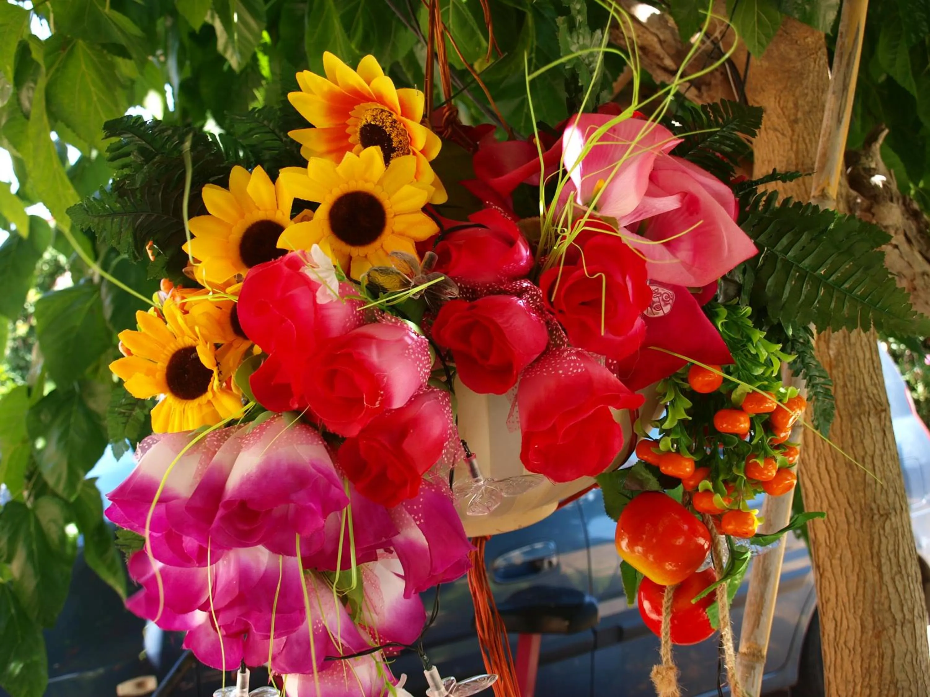 Area and facilities in Villa Rita Apartments A