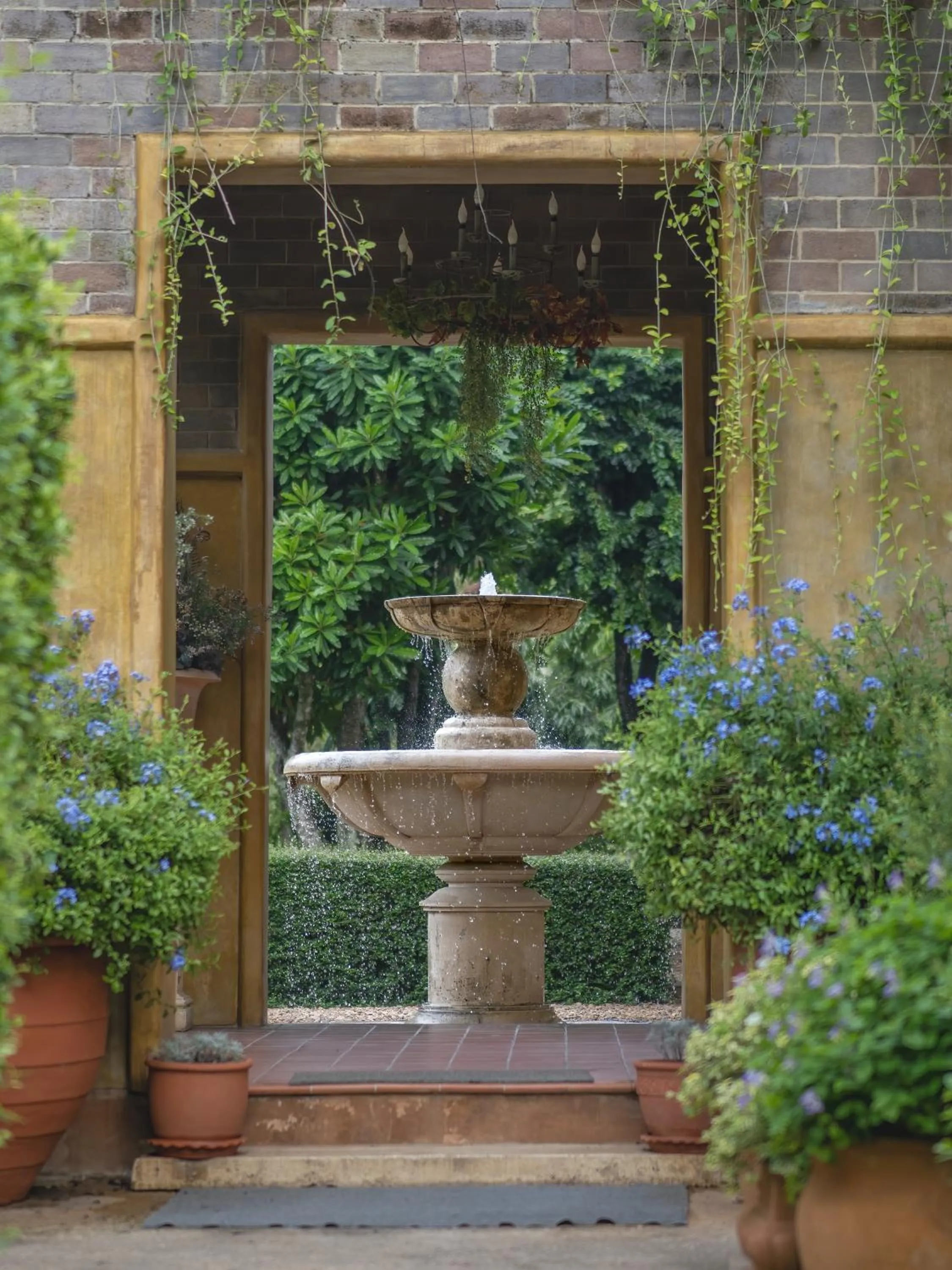 Garden in La Toscana