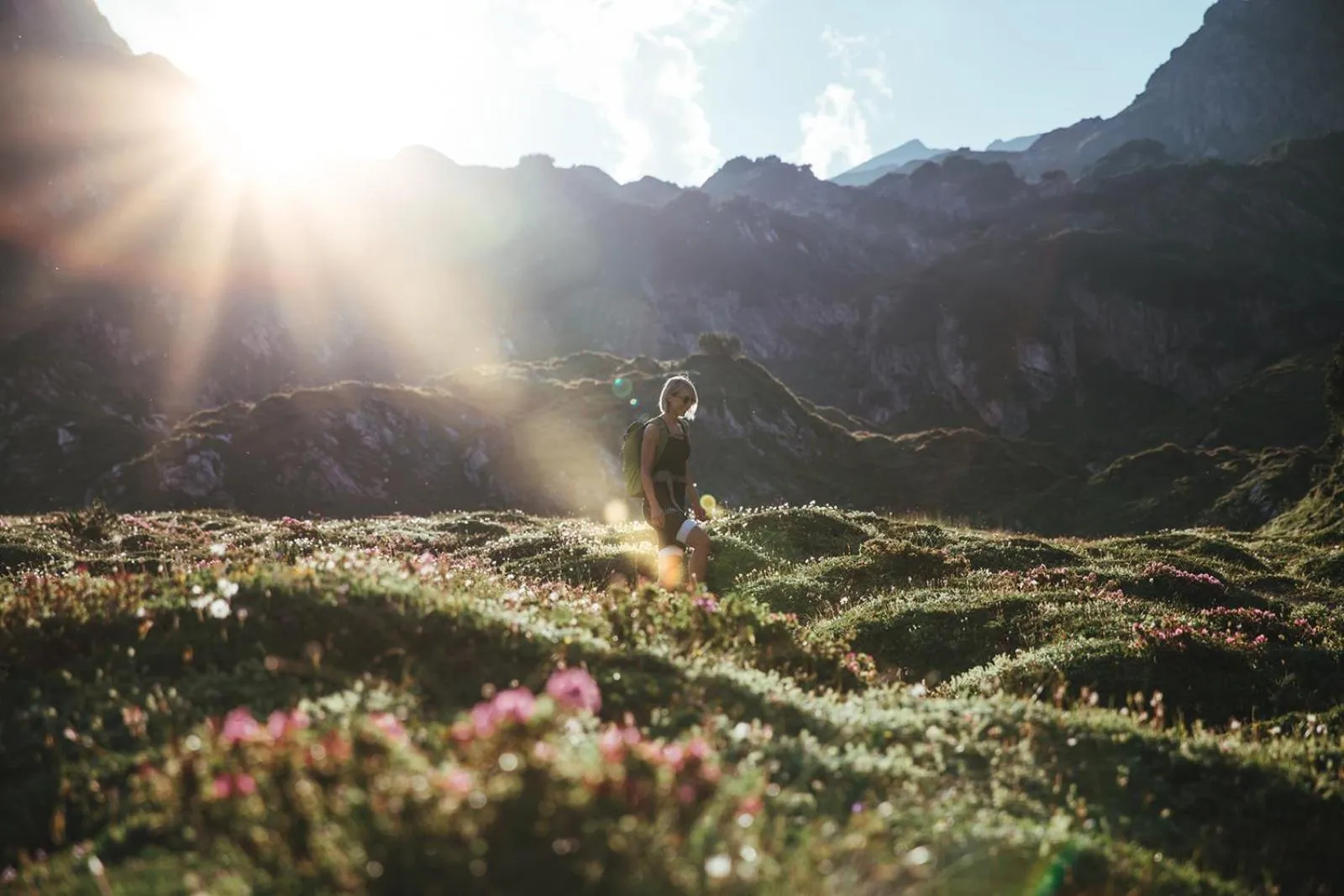Natural landscape in Hotel Aurora