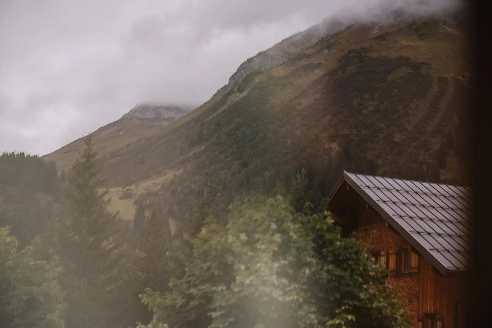 Natural landscape in Hotel Aurora