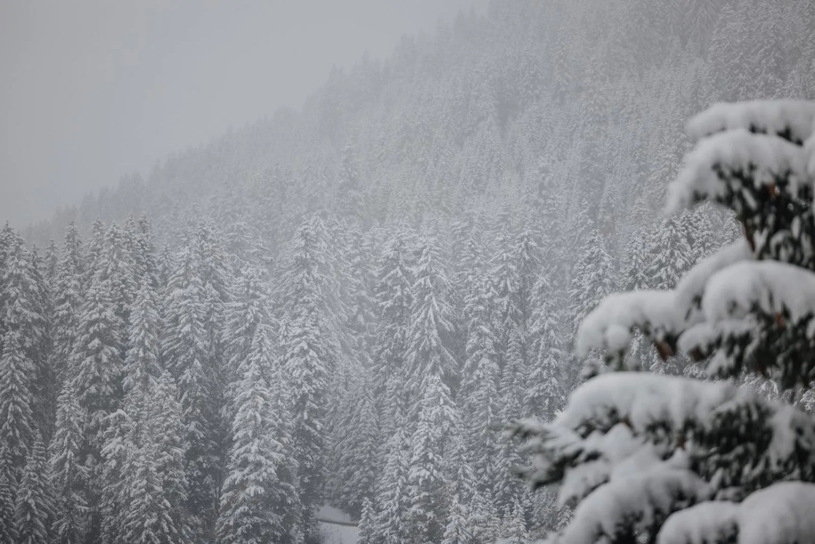 Winter in Hotel Aurora