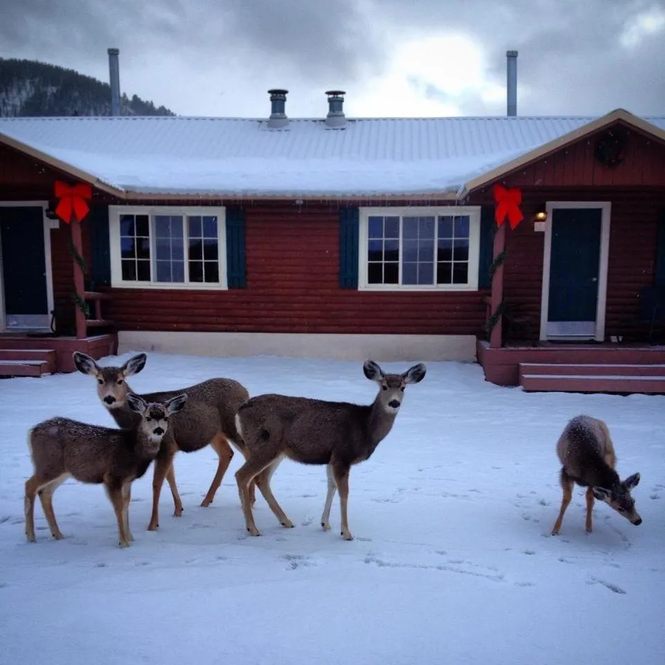 Three Bears Lodge